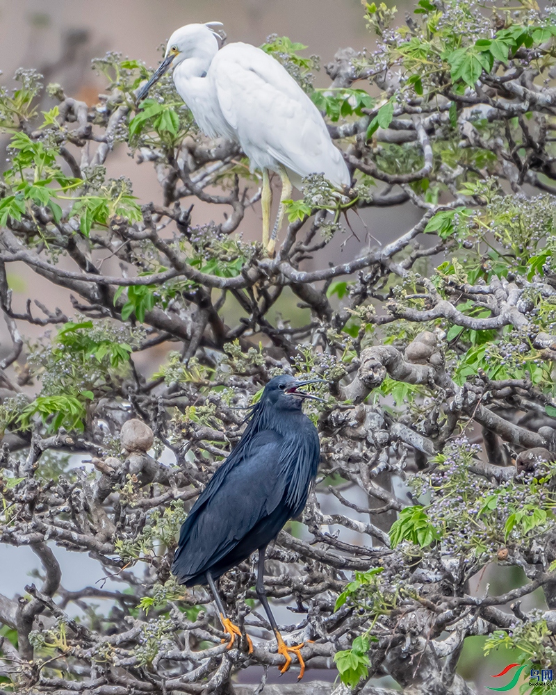 DSC_3561.jpg