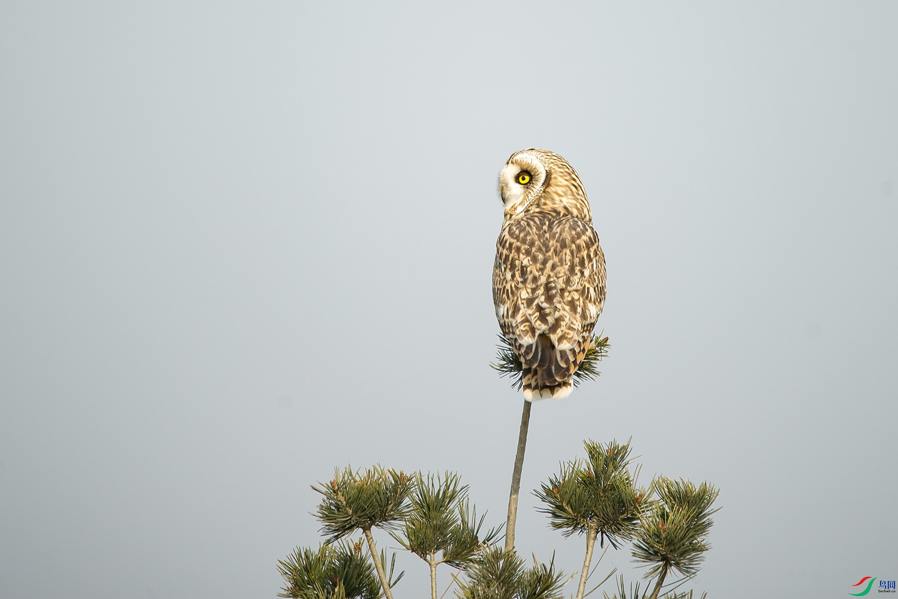 DSC_0234-20201206�ü�.jpg