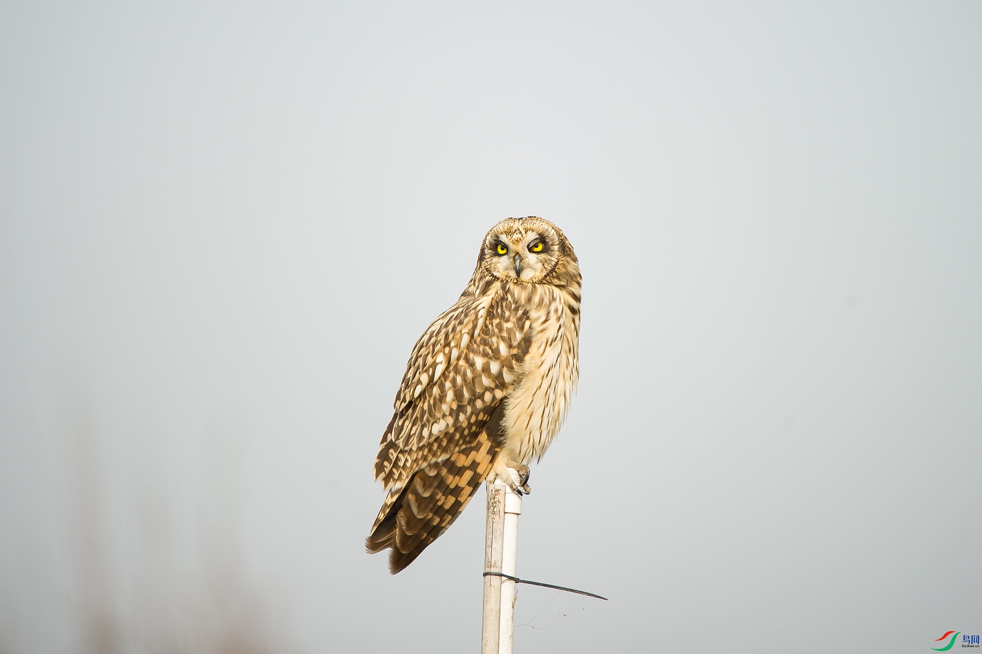 DSC_0275-20201206�ü�.jpg