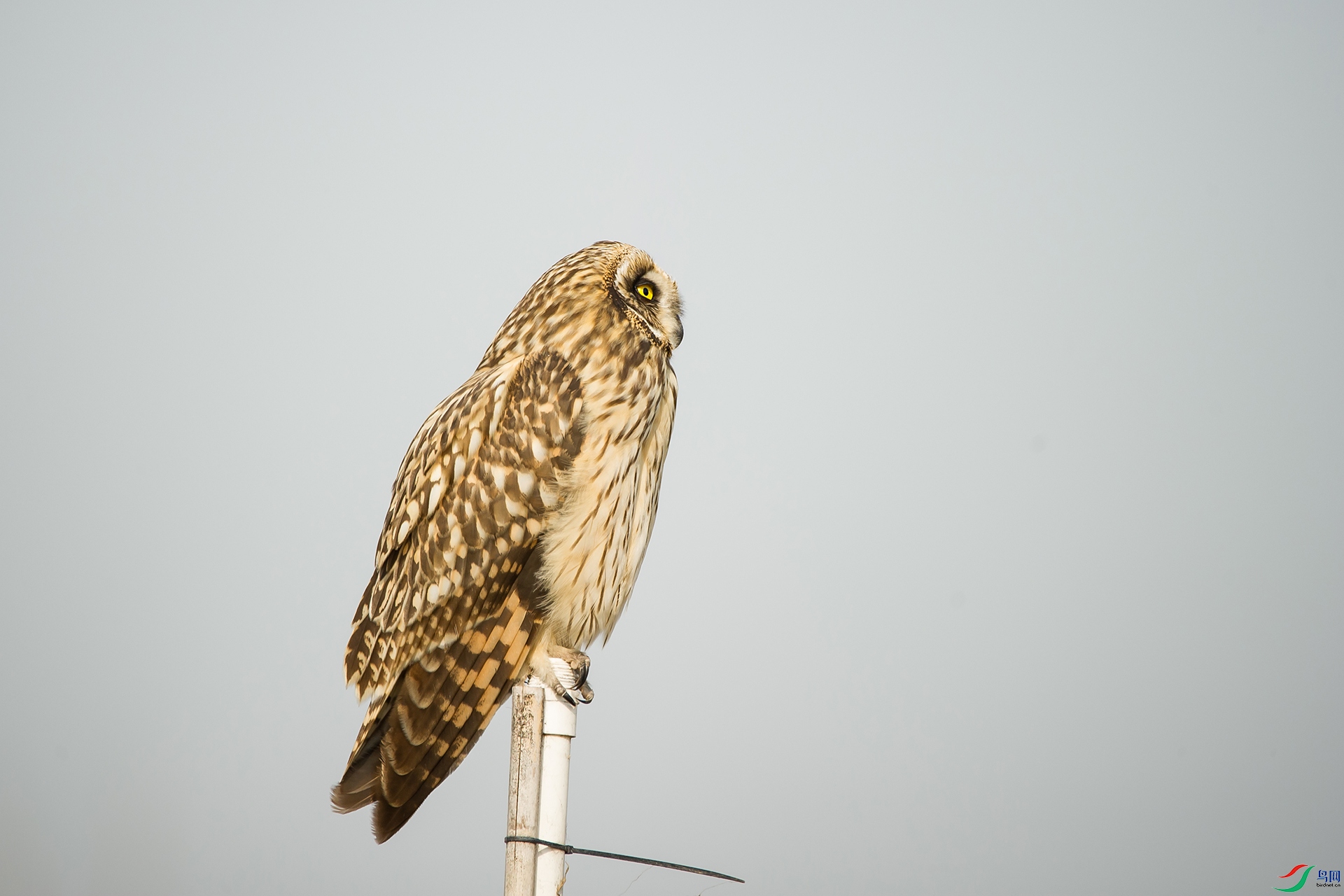 DSC_0281-20201206�ü�.jpg