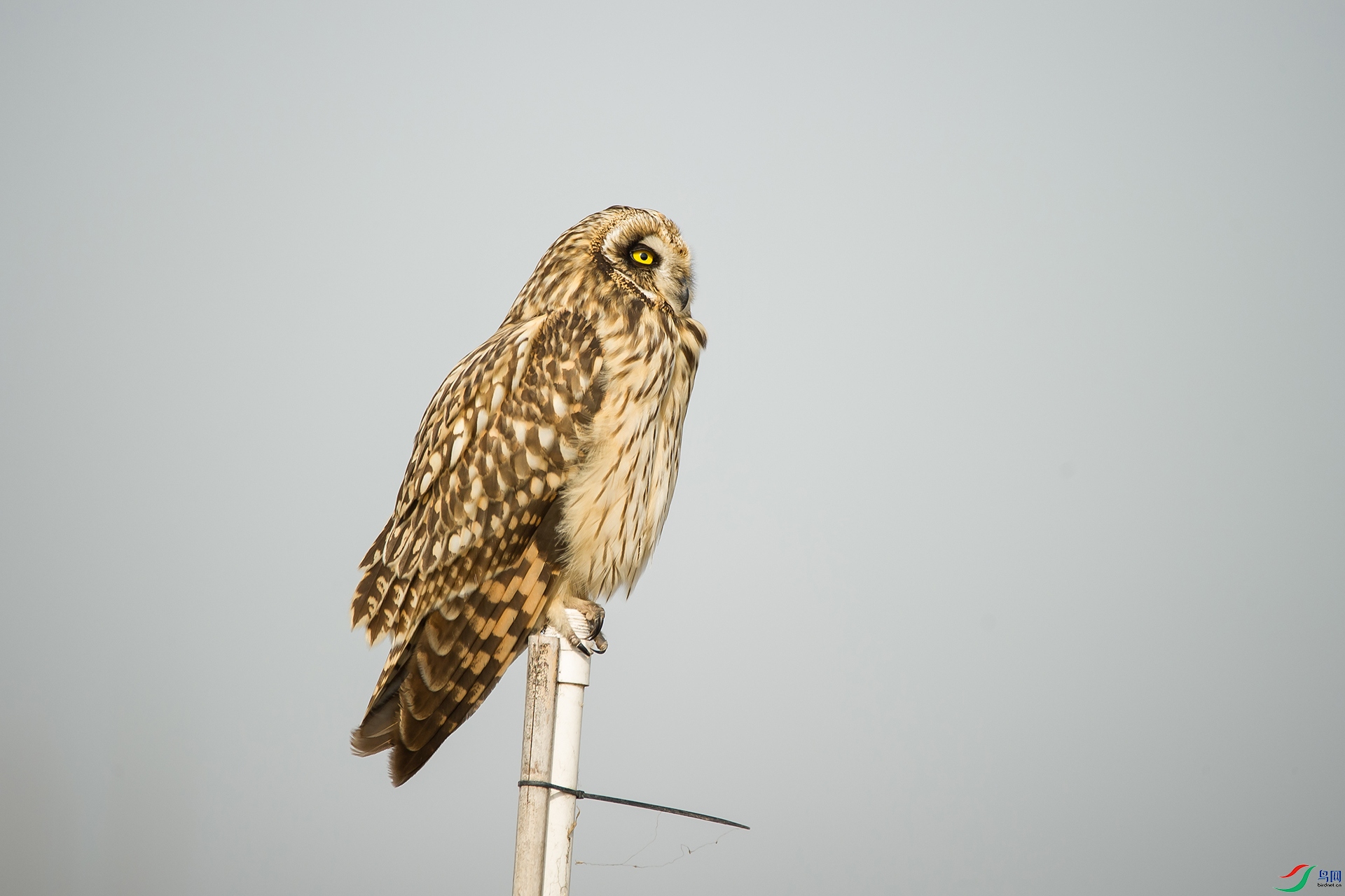 DSC_0294-20201207�ü�.jpg