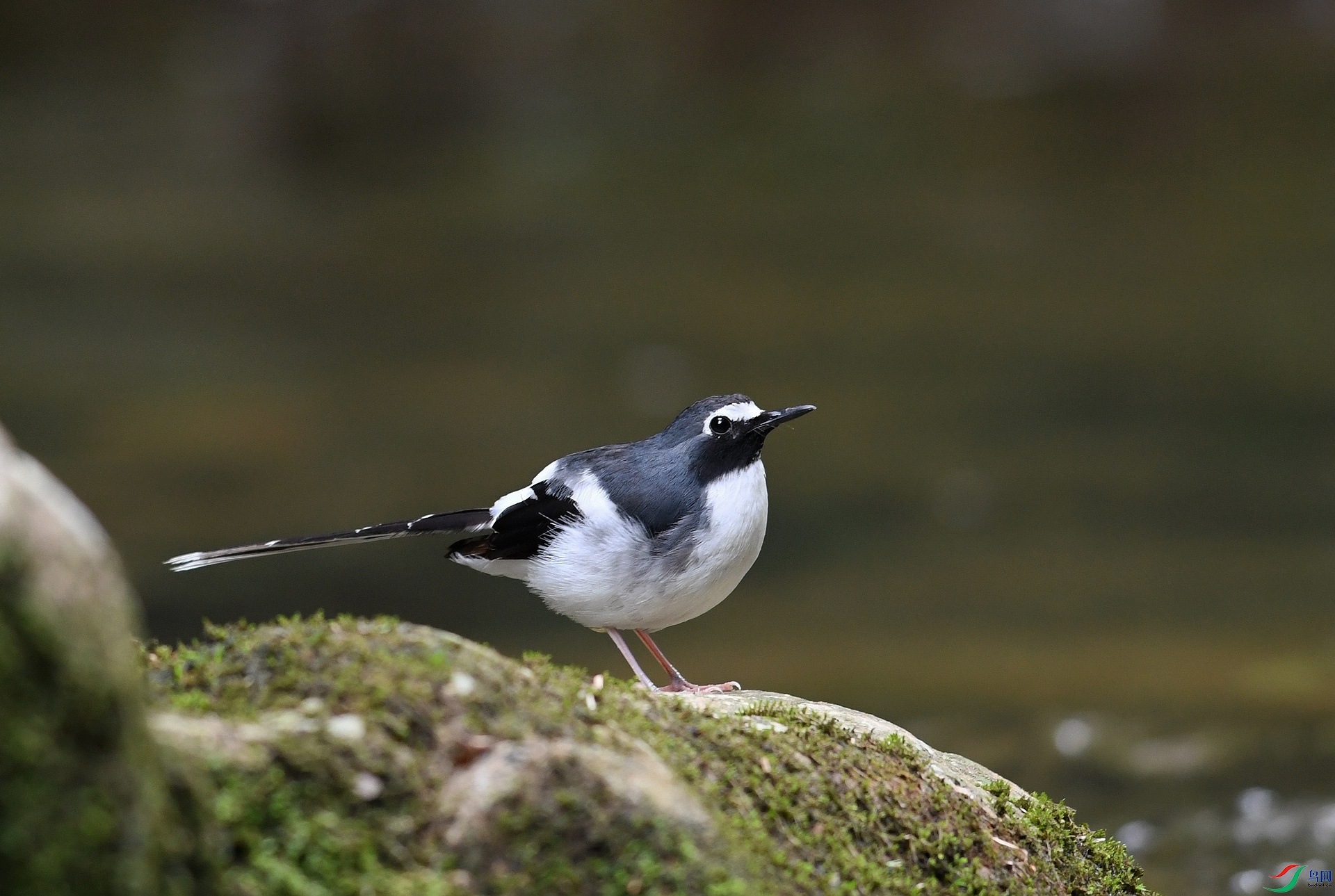 DSC_8254.jpg