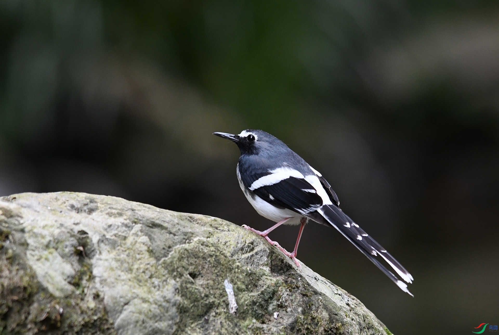DSC_8242.jpg