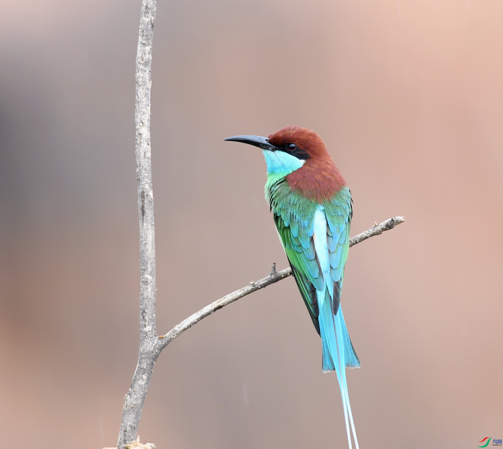 DSC_7219.jpg