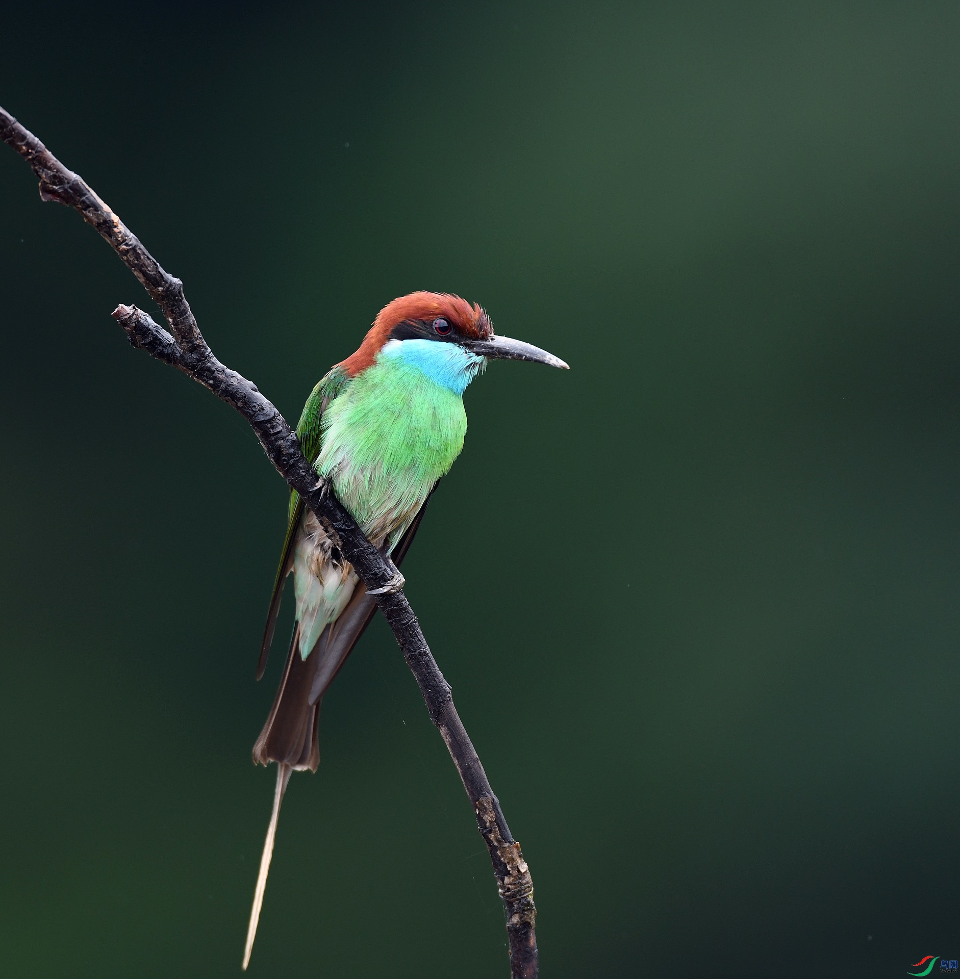 DSC_8111.jpg