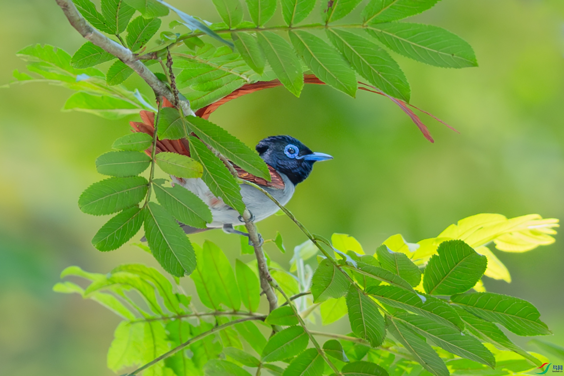 DSC_3091.jpg