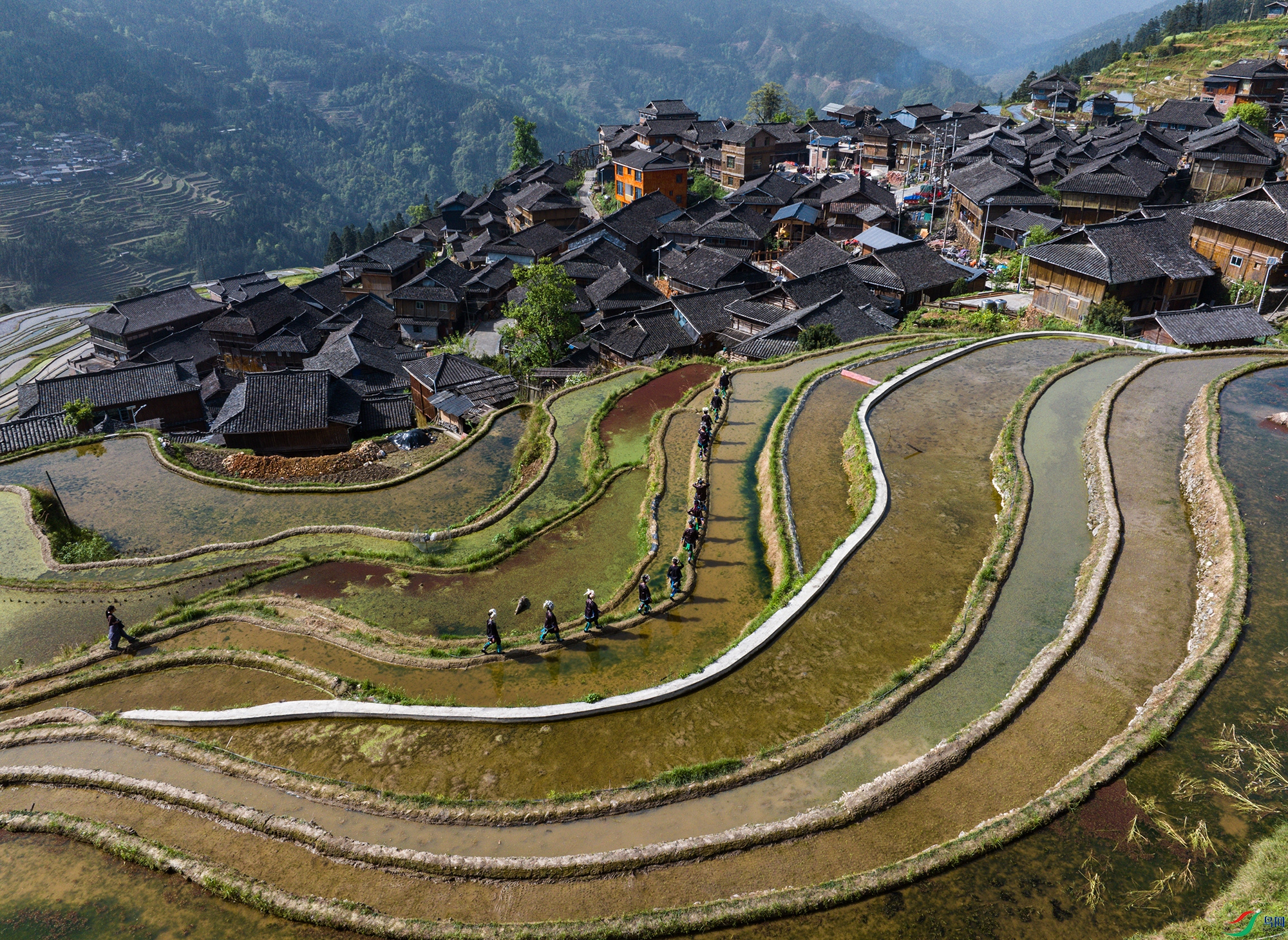 DJI_20250414094219_0204_D ����.jpg