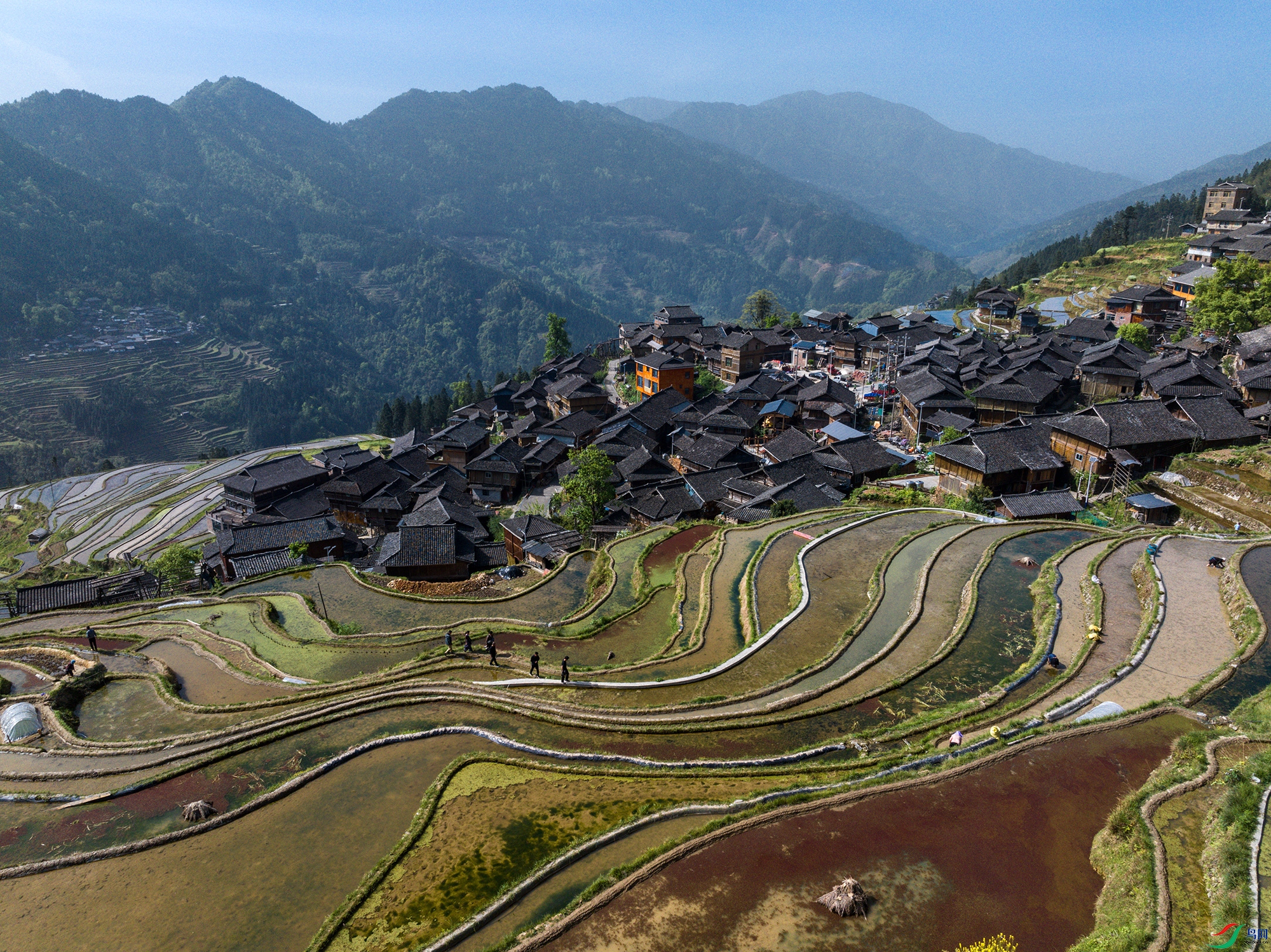 DJI_20250414094620_0225_D ����.jpg