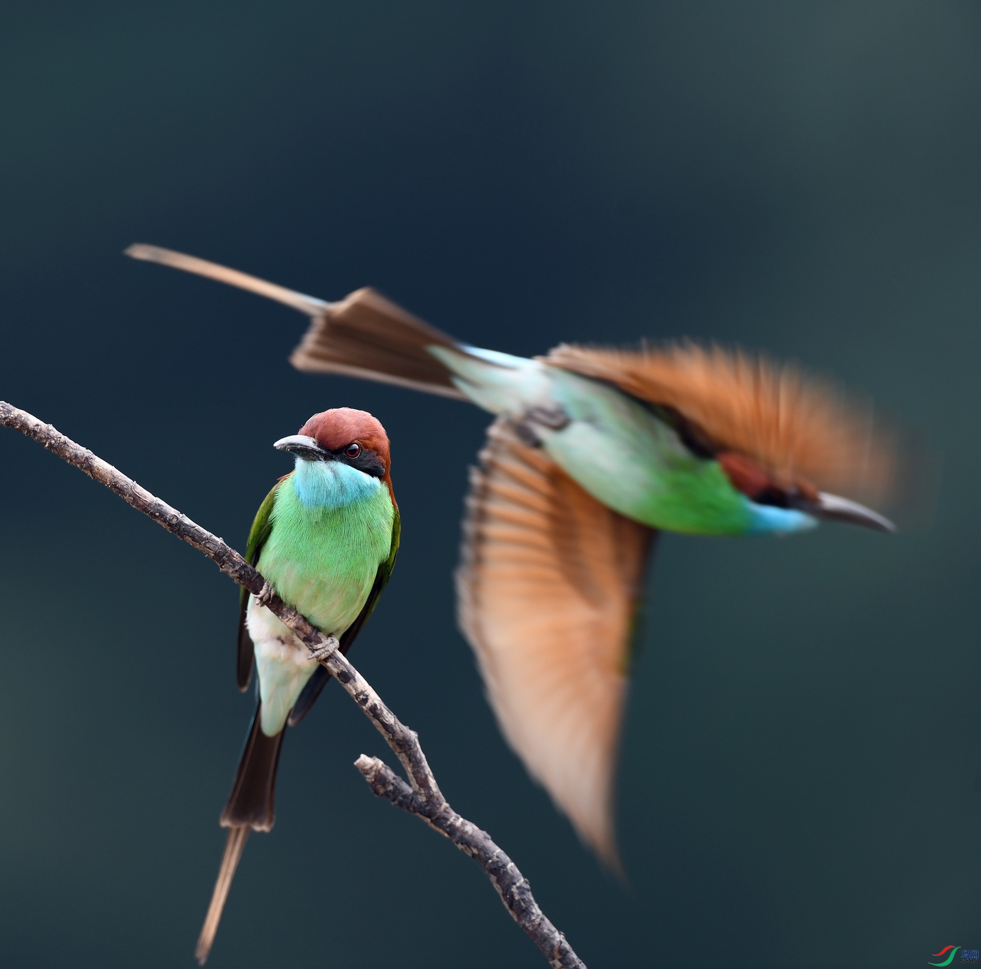 DSC_4872.jpg