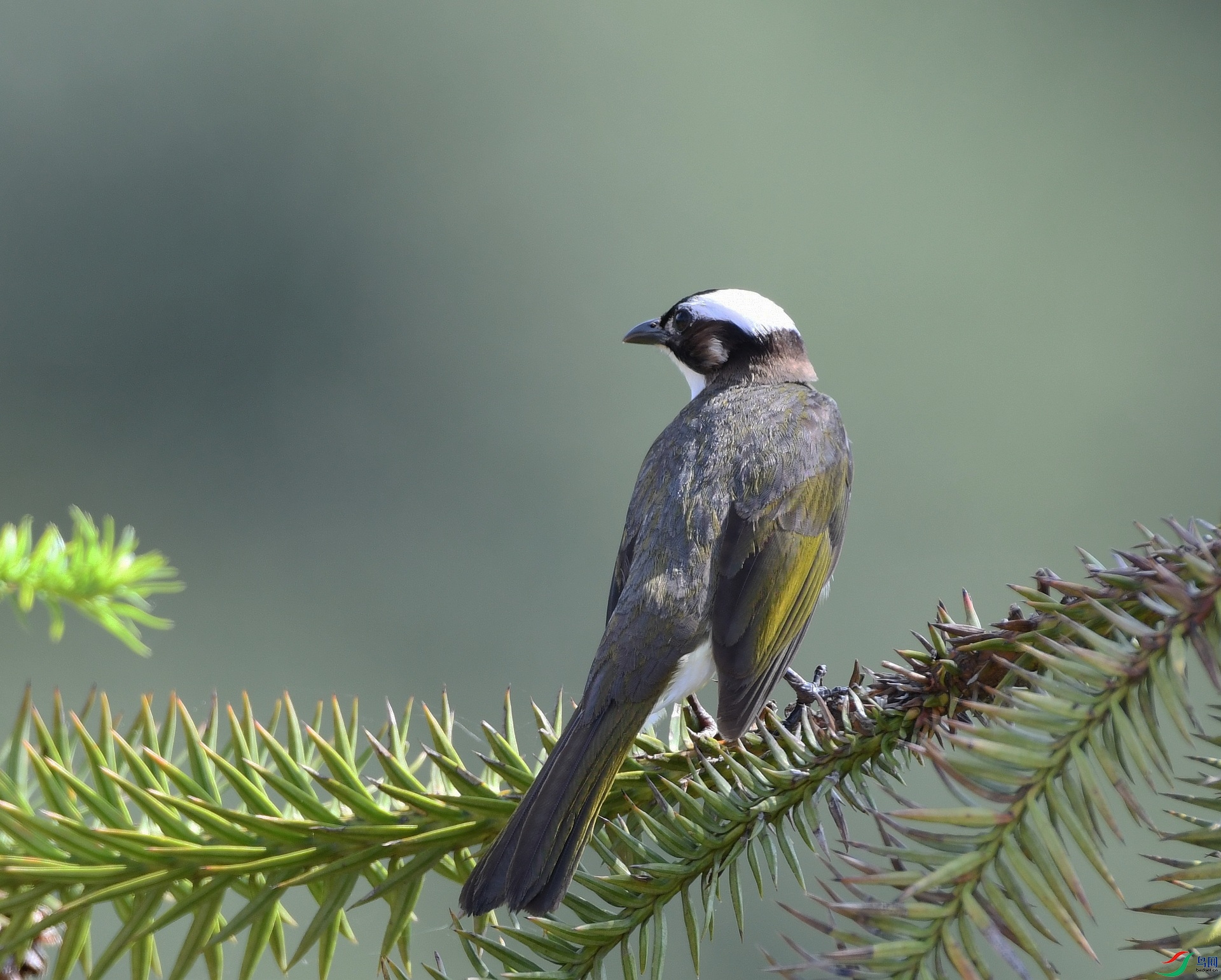 DSC_8240.jpg