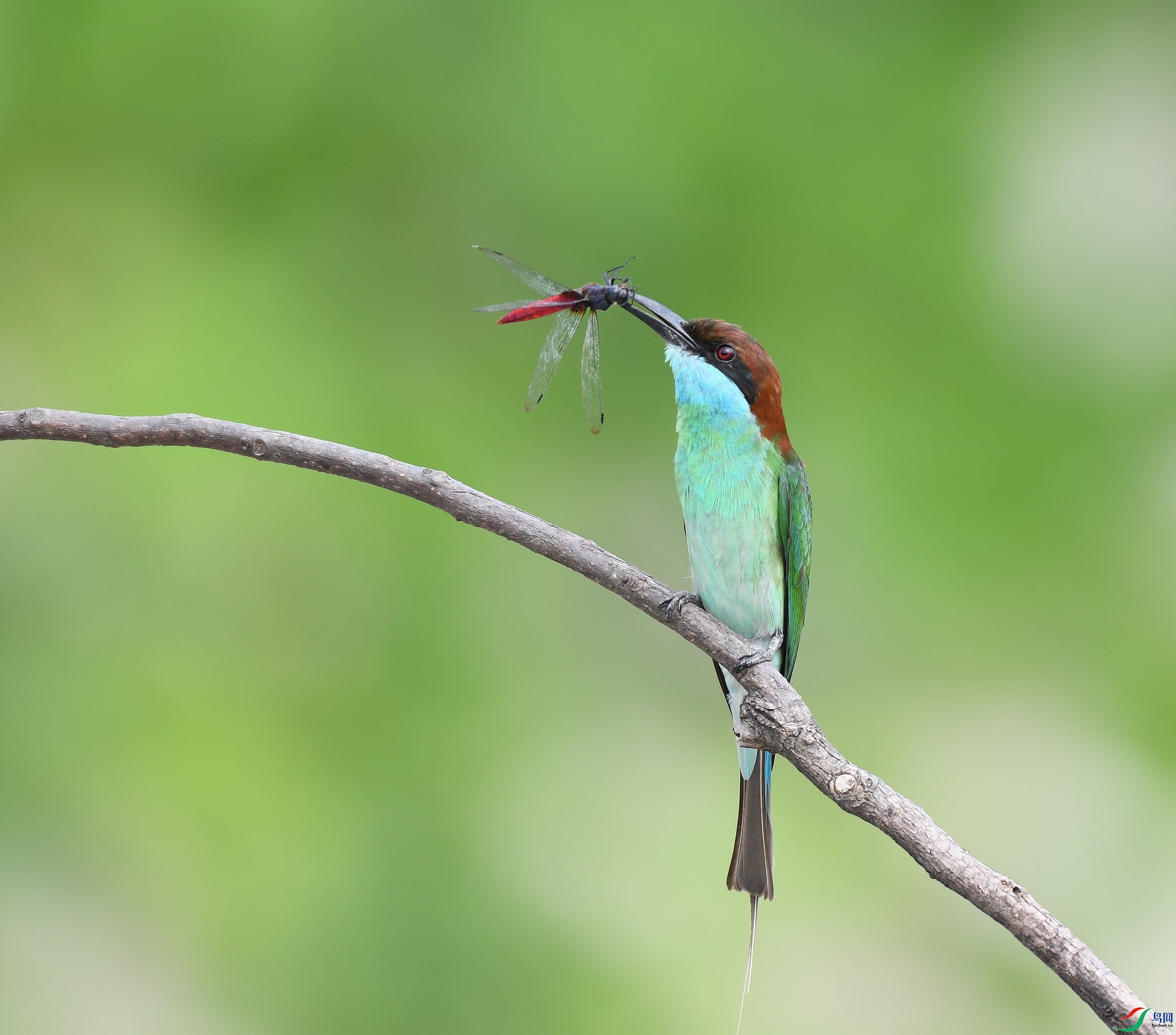 DSC_2844.jpg