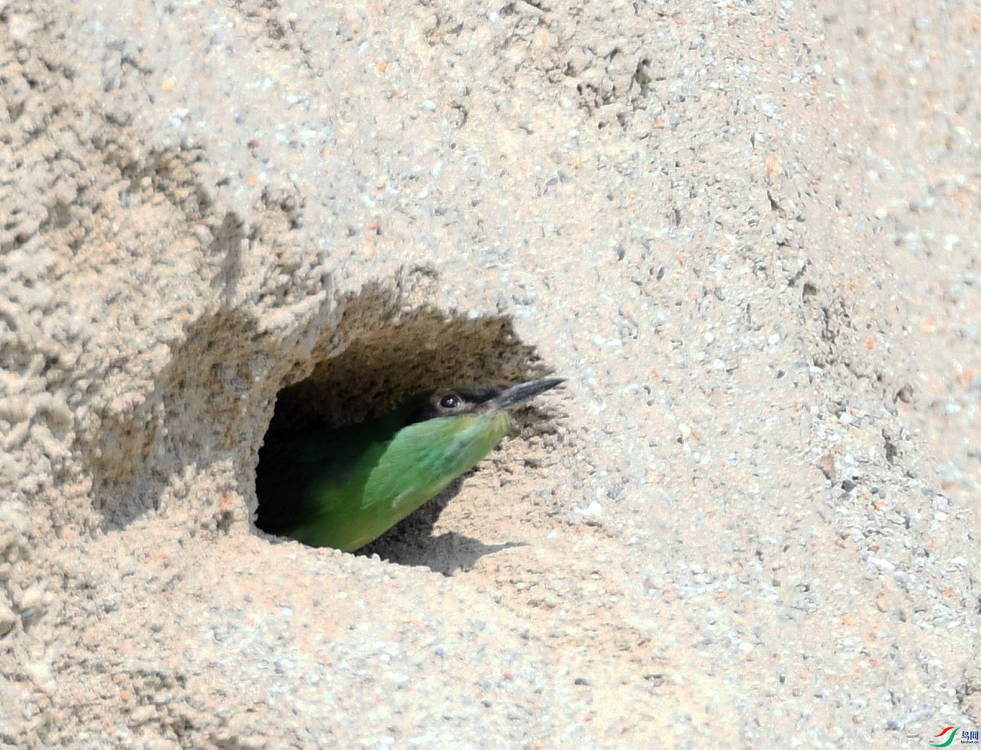 DSC_3447.jpg