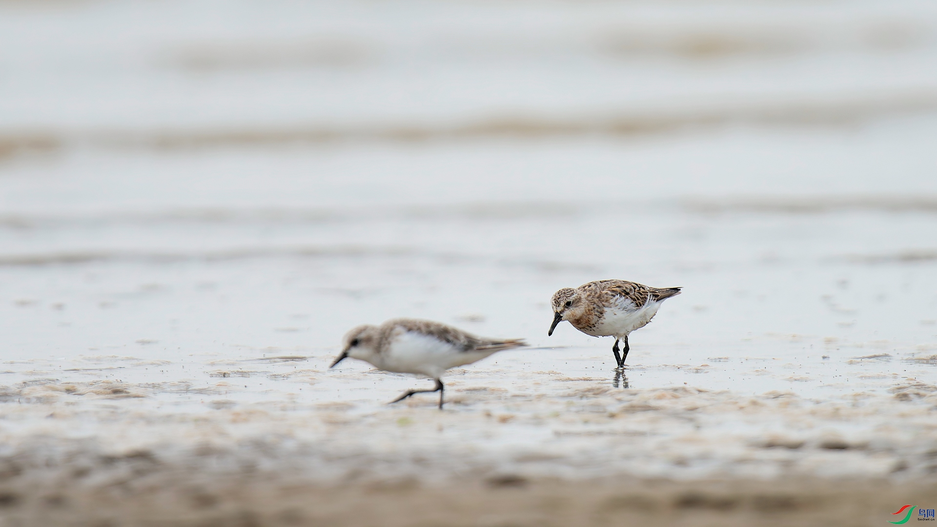 2DSC_0106_DxO_DxO.jpga.jpg