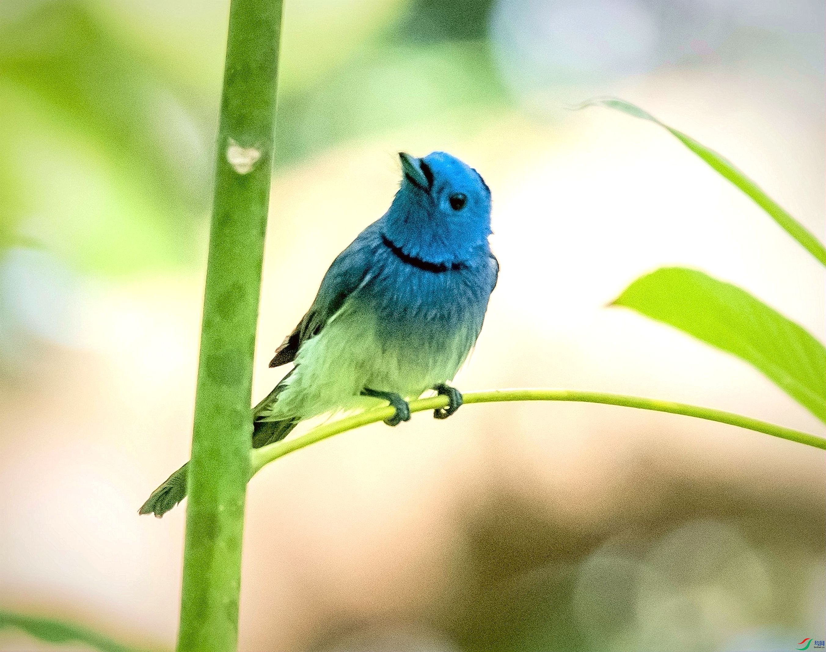 DSC_1716_����.jpg