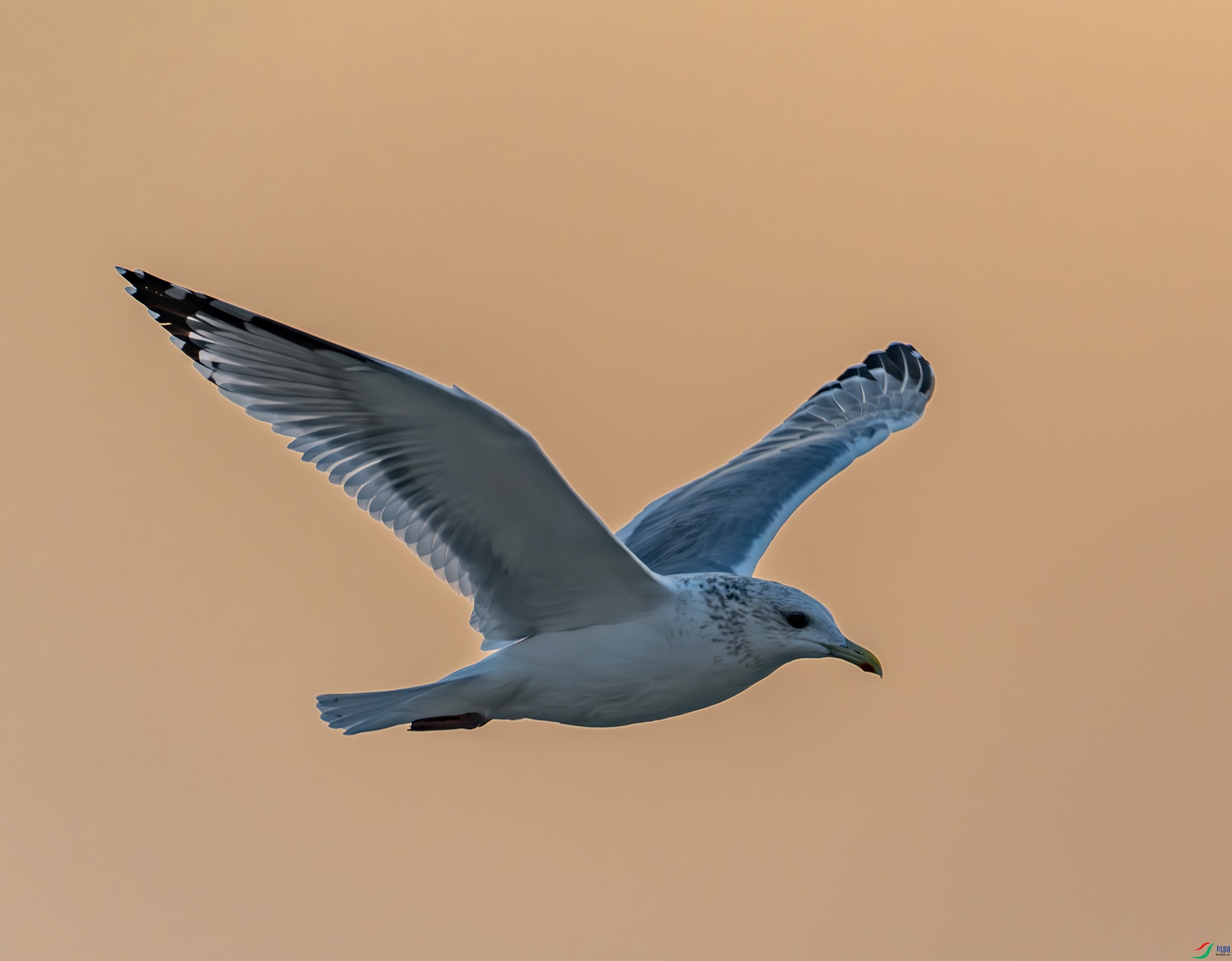 ����������Ÿ-03-36.jpg