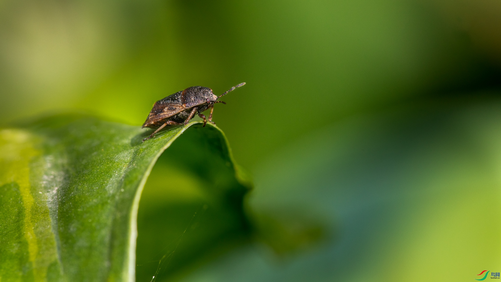 9O2A9699.jpg