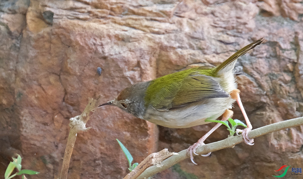 DSCF9168.1.jpg