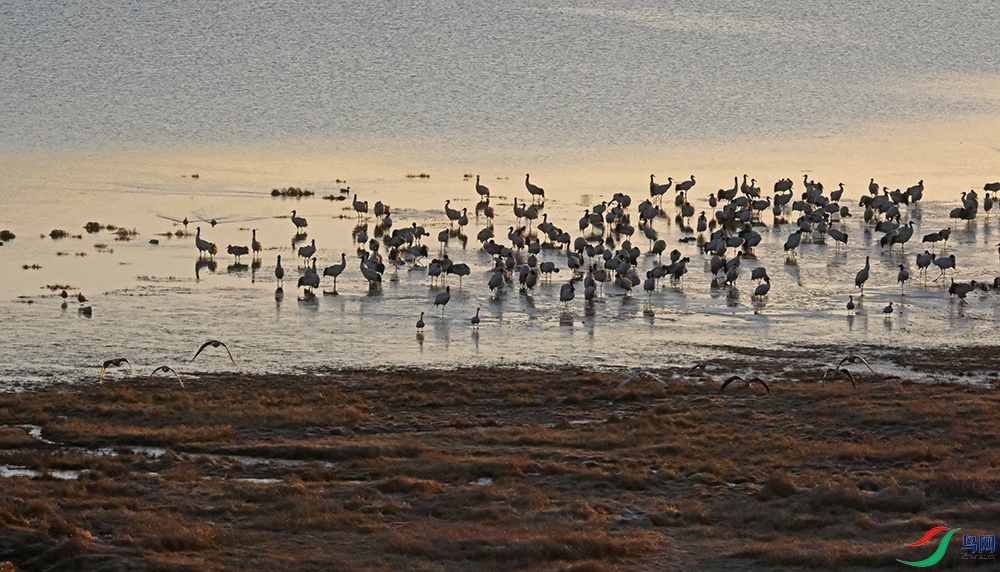 DSCF1114.1.jpg