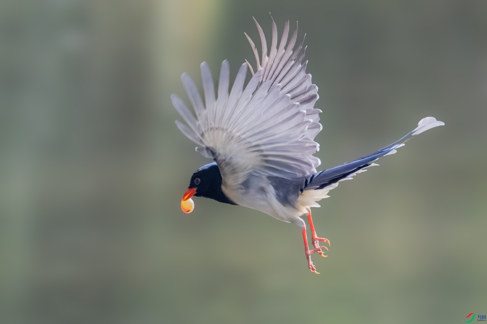 LJH_4557-1.jpg
