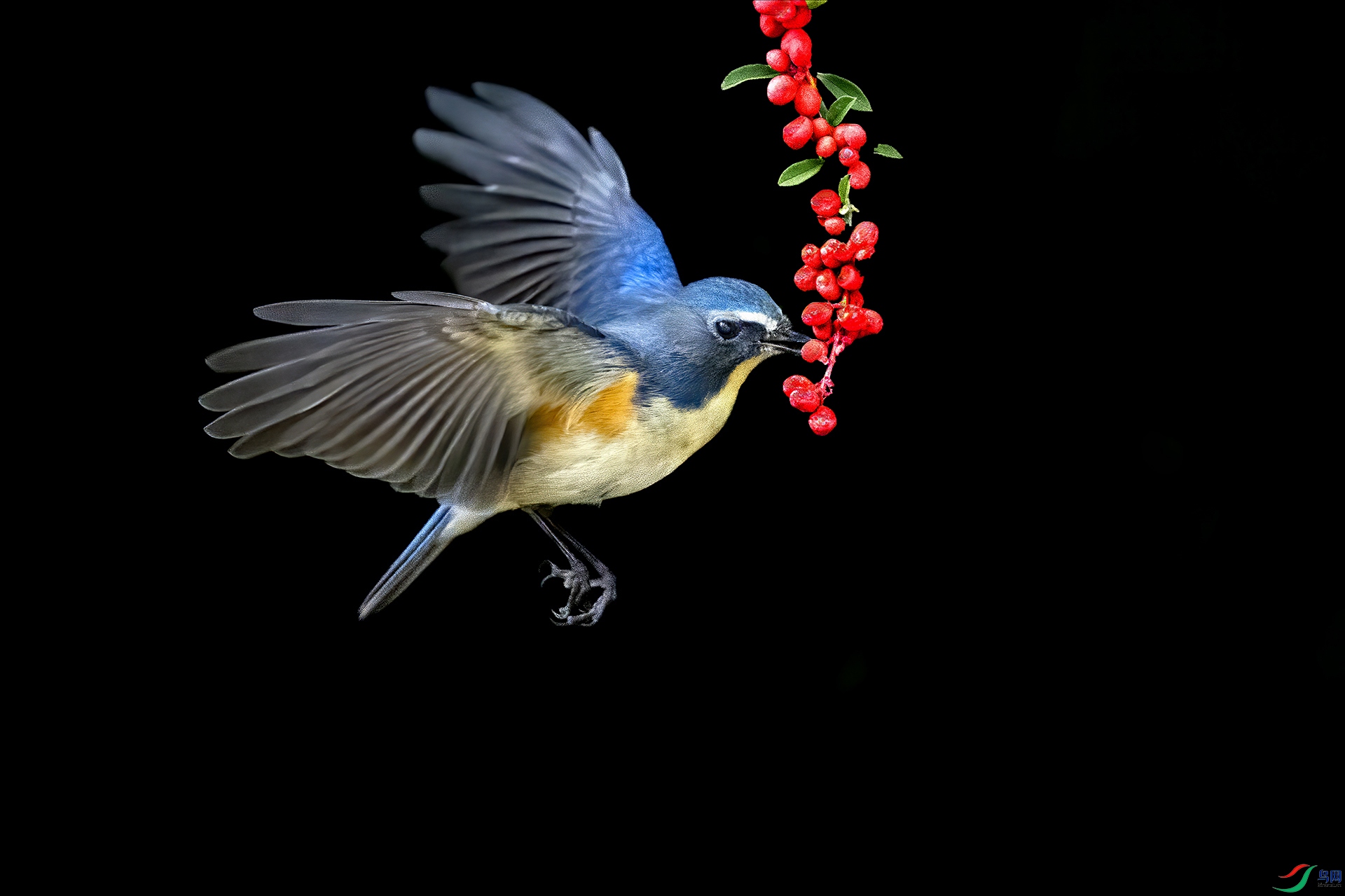 DSC_5597-.jpg