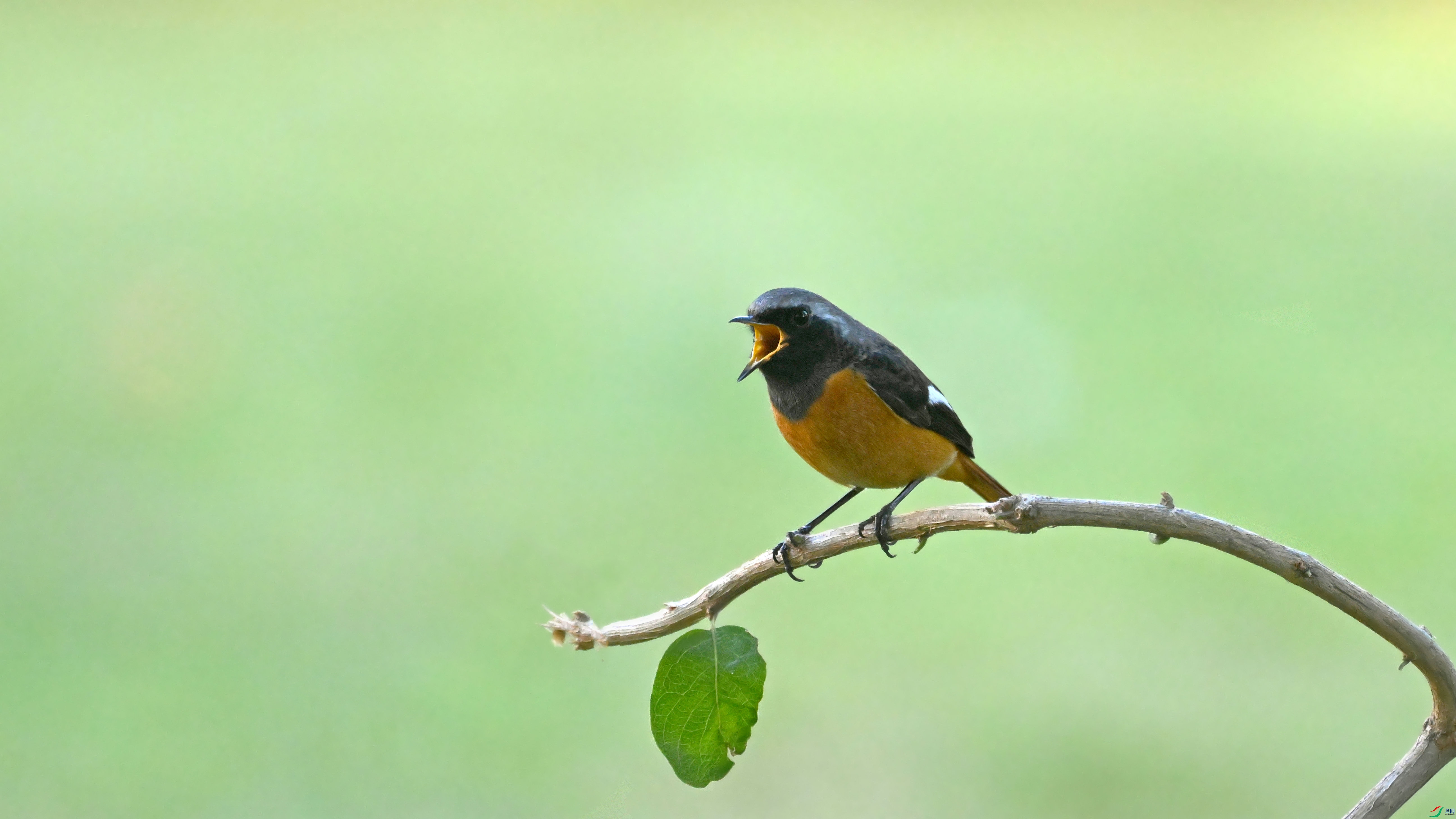 DSC_5687.JPG