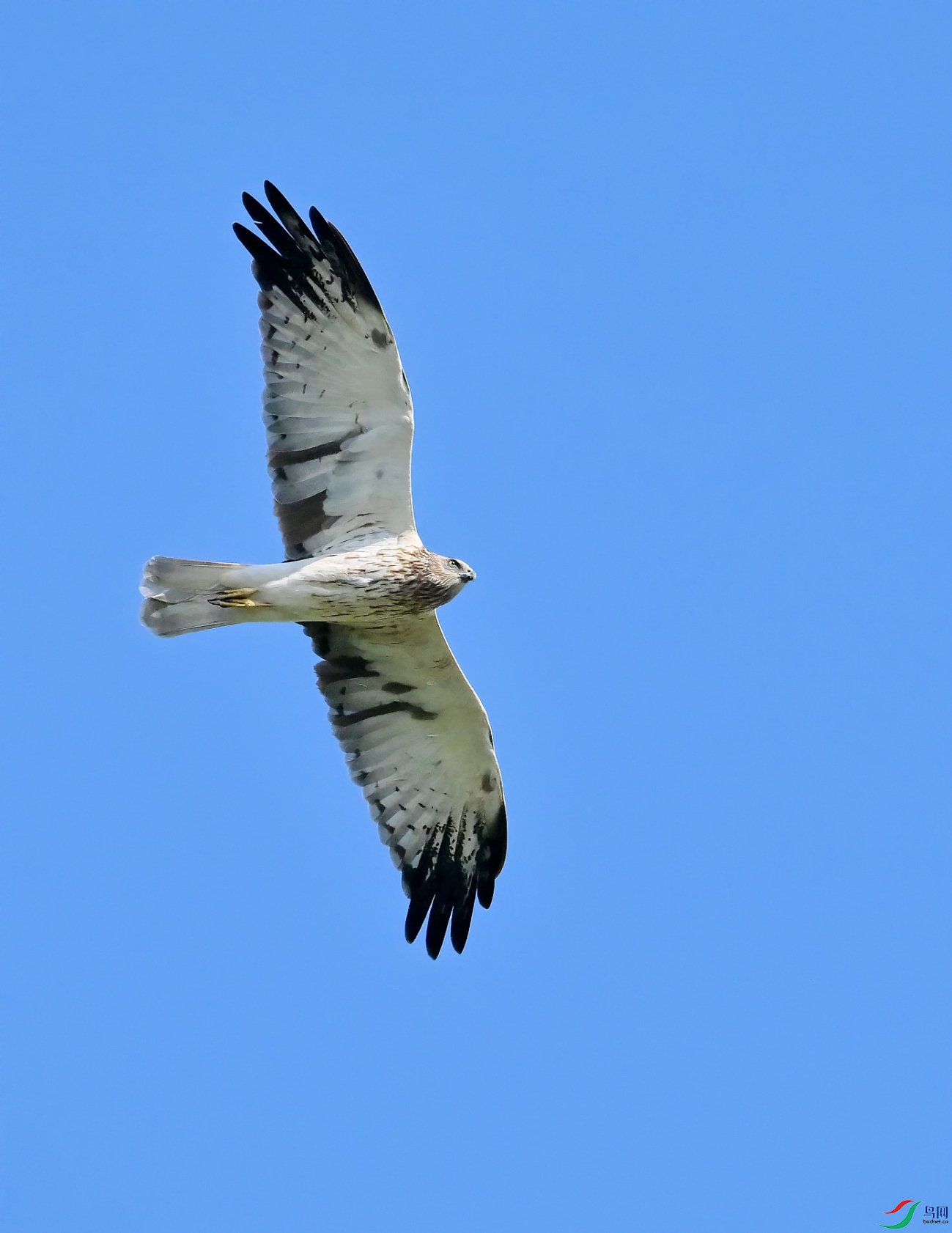 DSC_9557�׸���.jpg