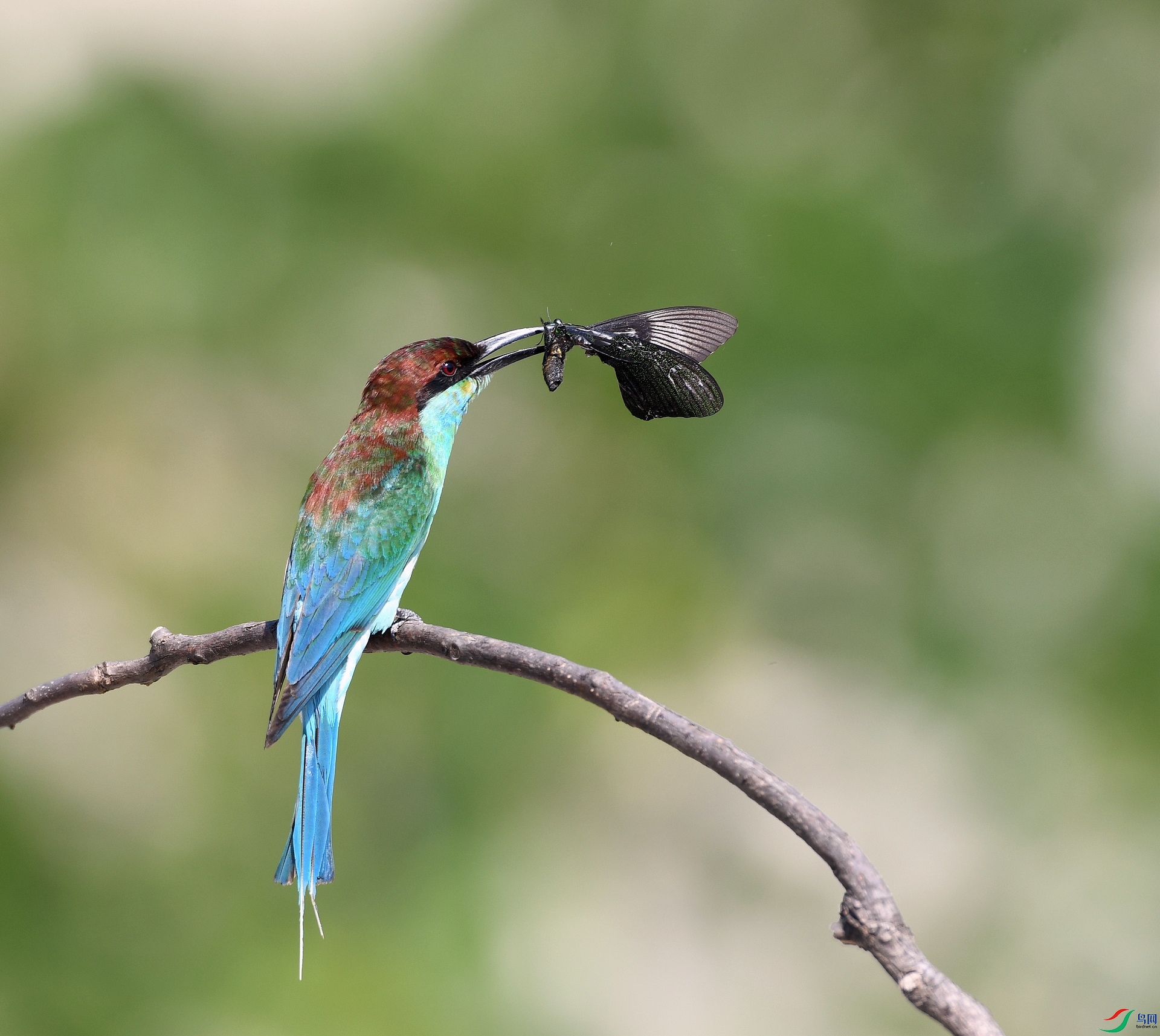DSC_5386.jpg