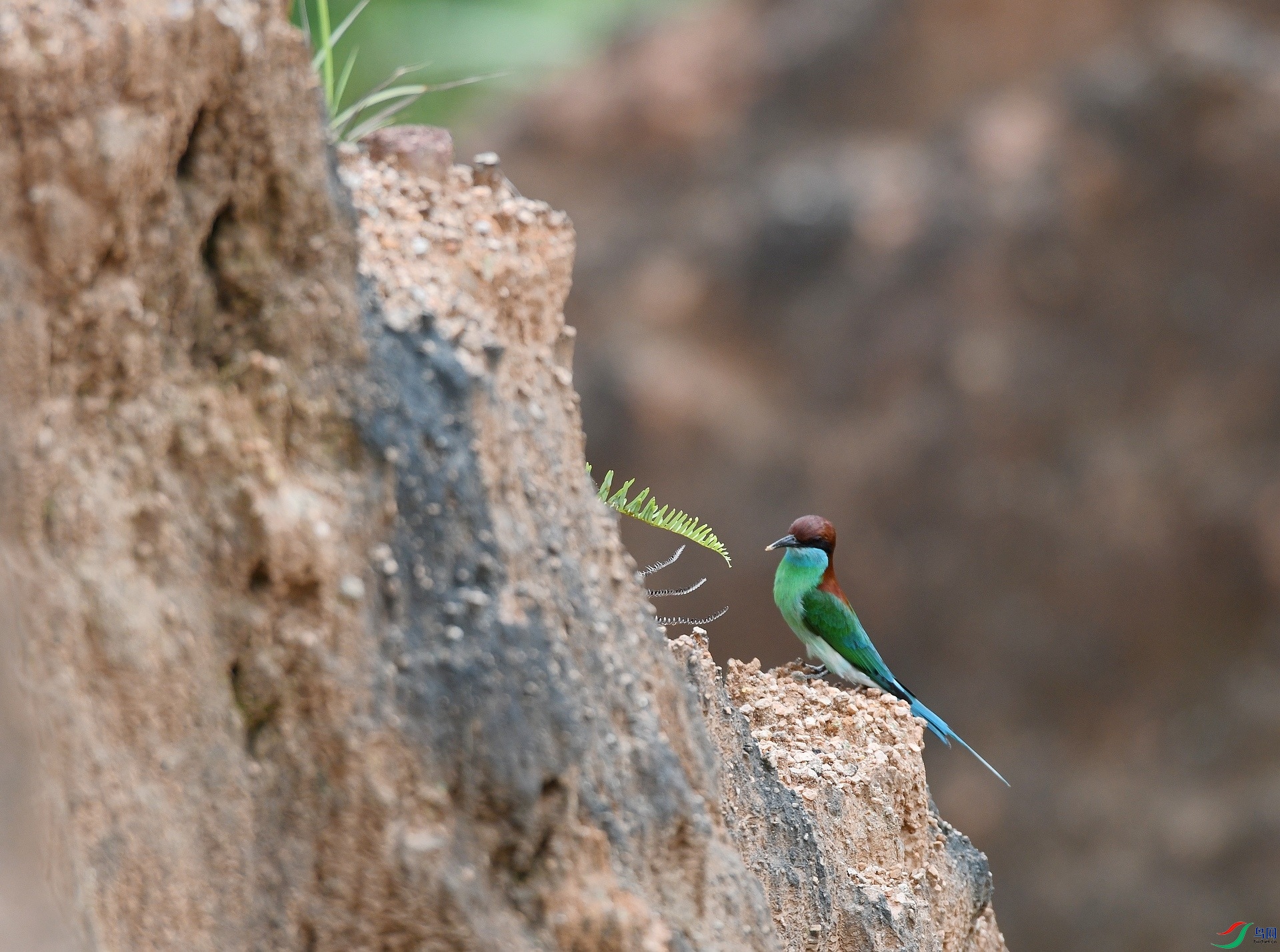 DSC_0453.jpg
