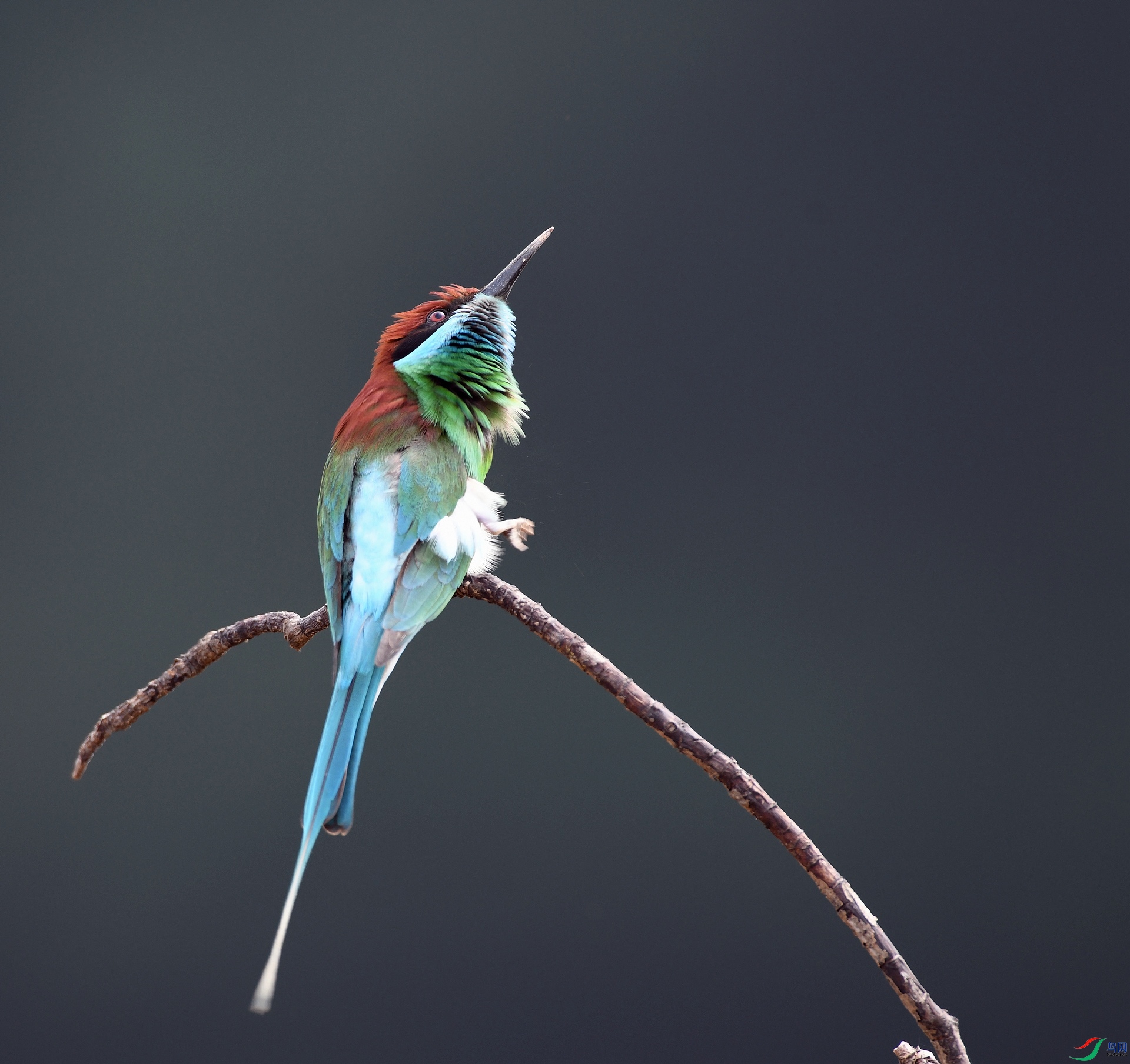 DSC_3922.jpg