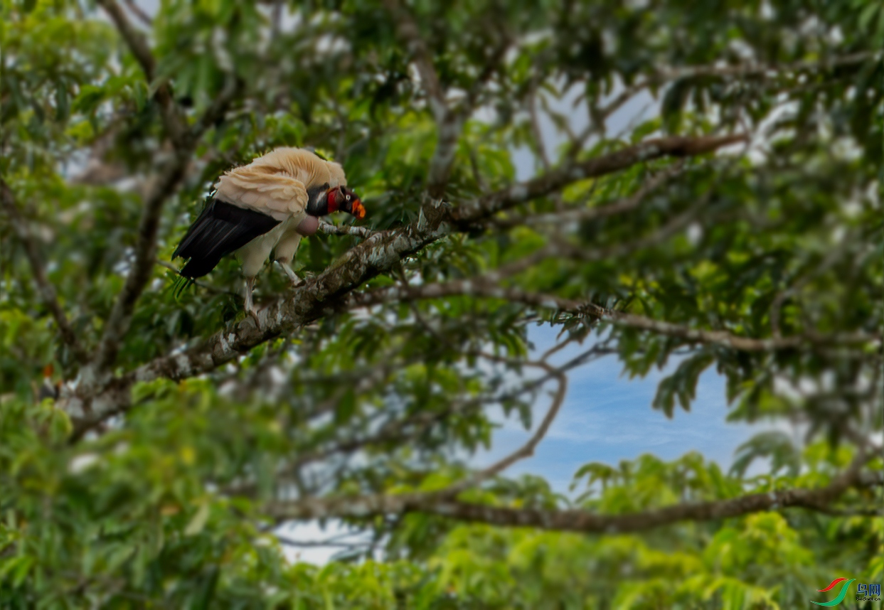 _DSC2161-1.jpg