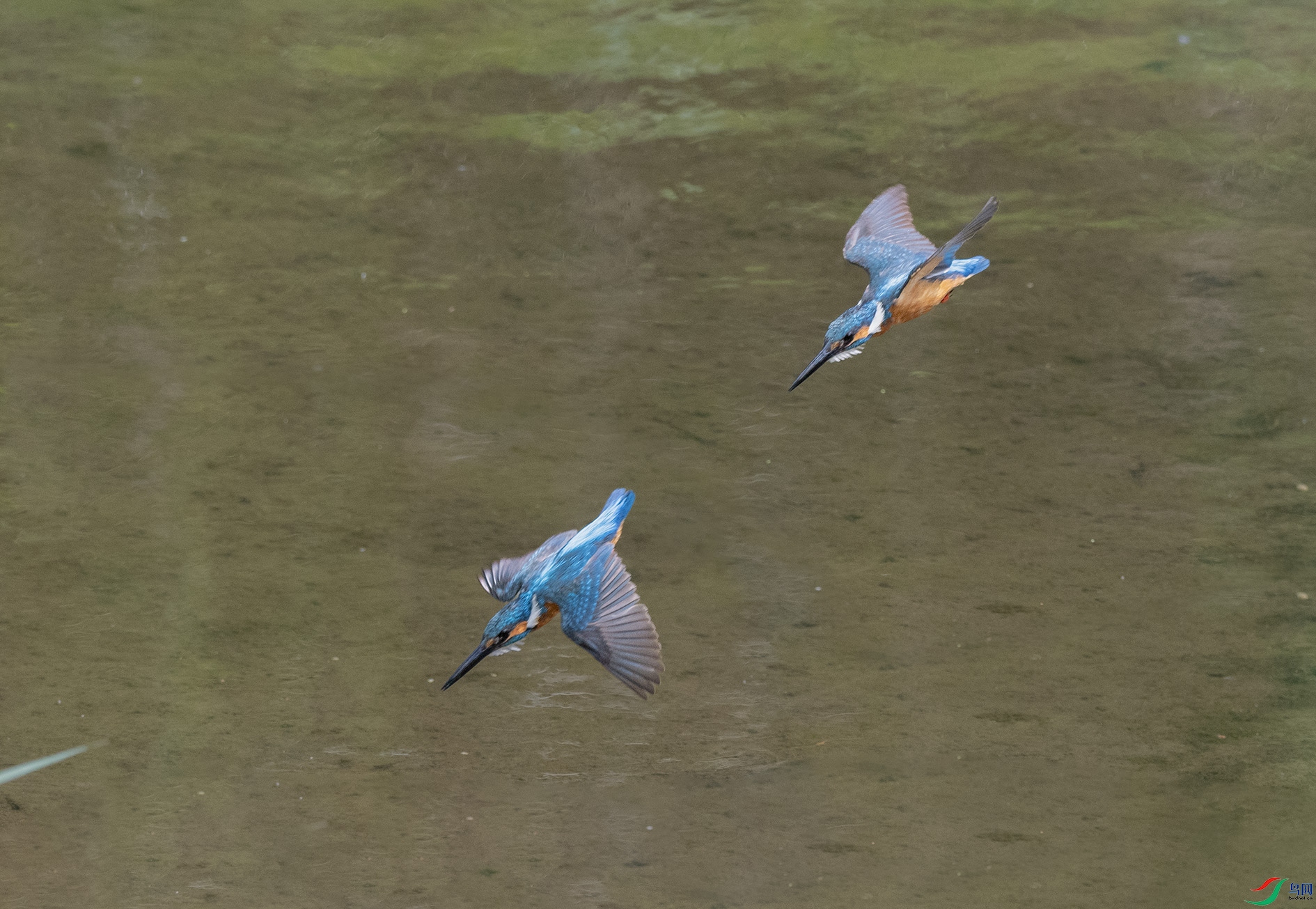 DSC_5578_��ͼ��_��ͼ�� ����.jpg
