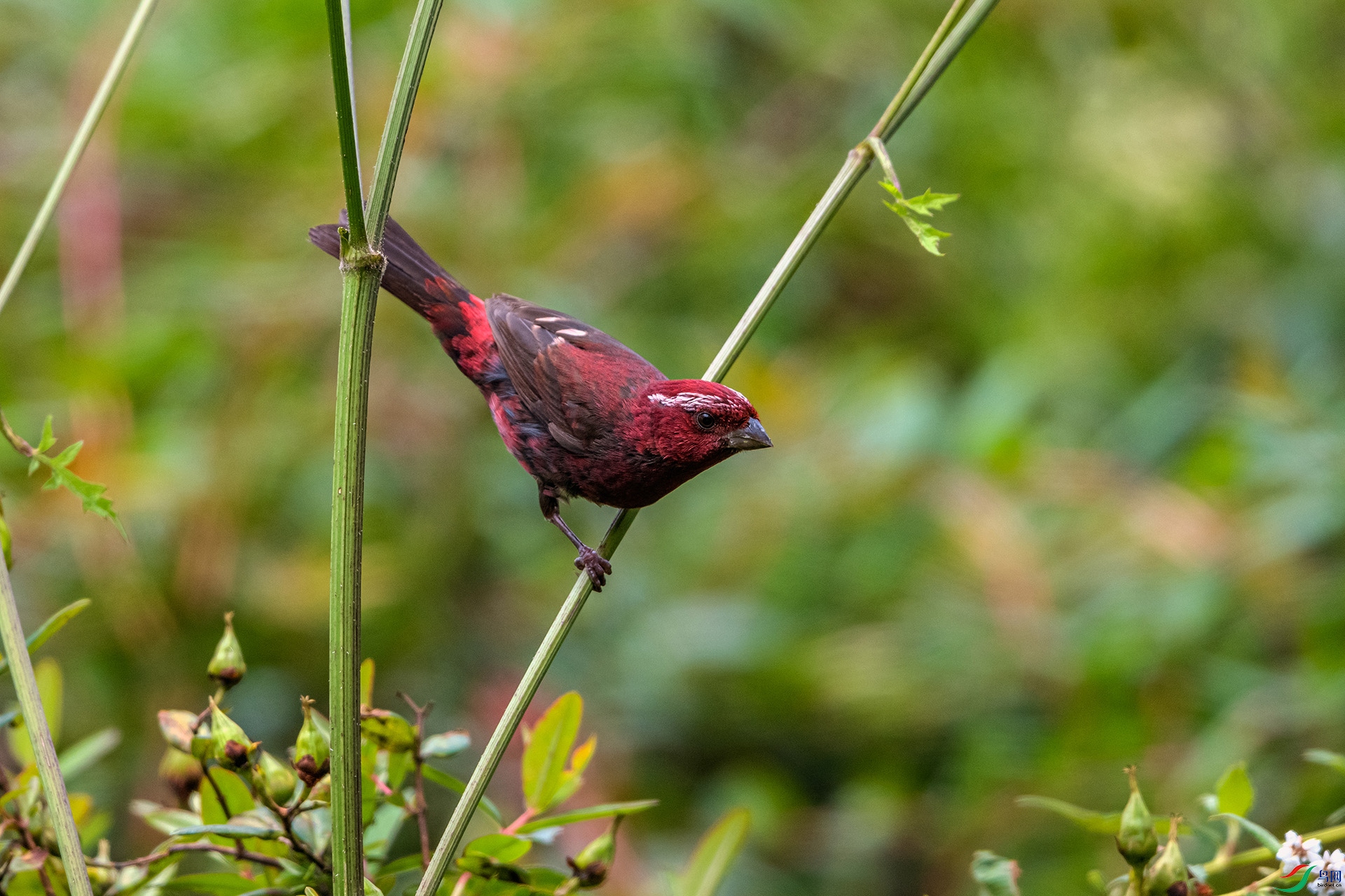 _AUU9564 �ƺ���ȸ(25.8.26).jpg