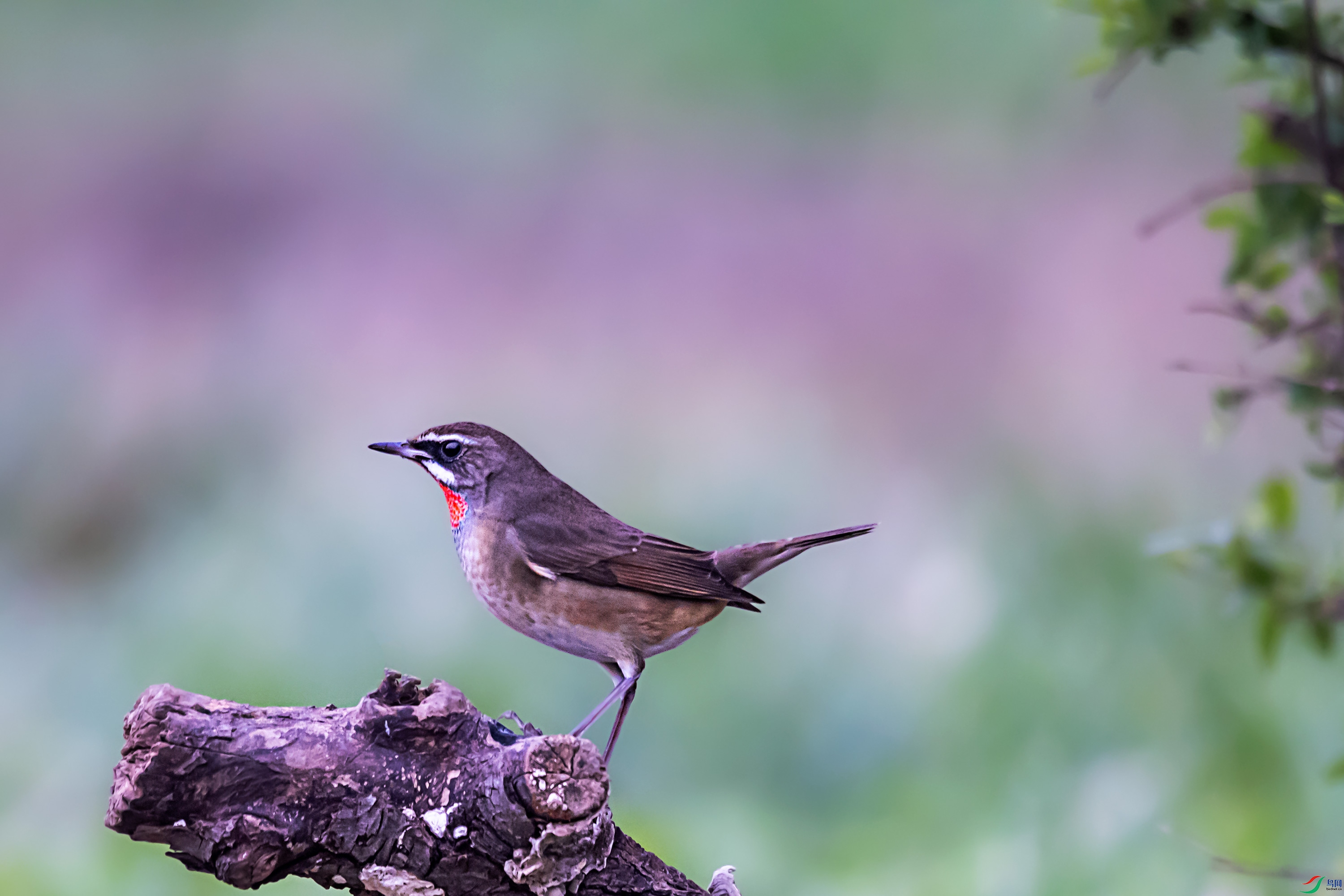 278A7448.jpg