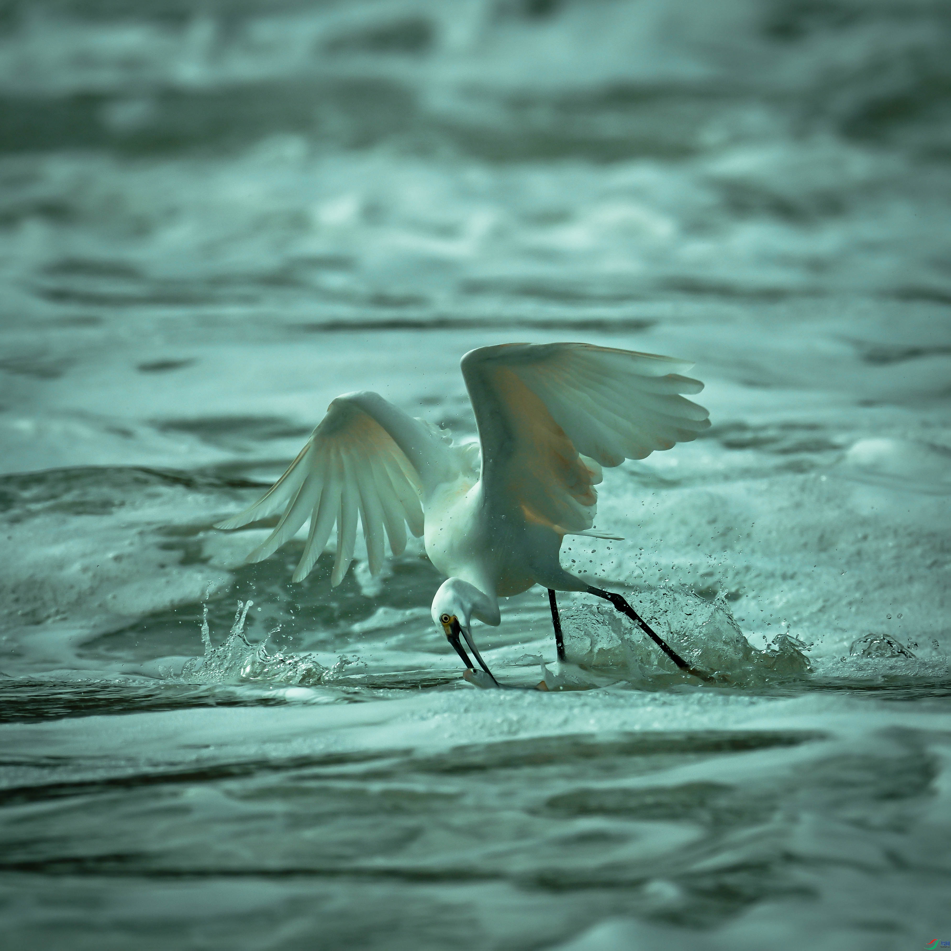 DSC_6964.jpg