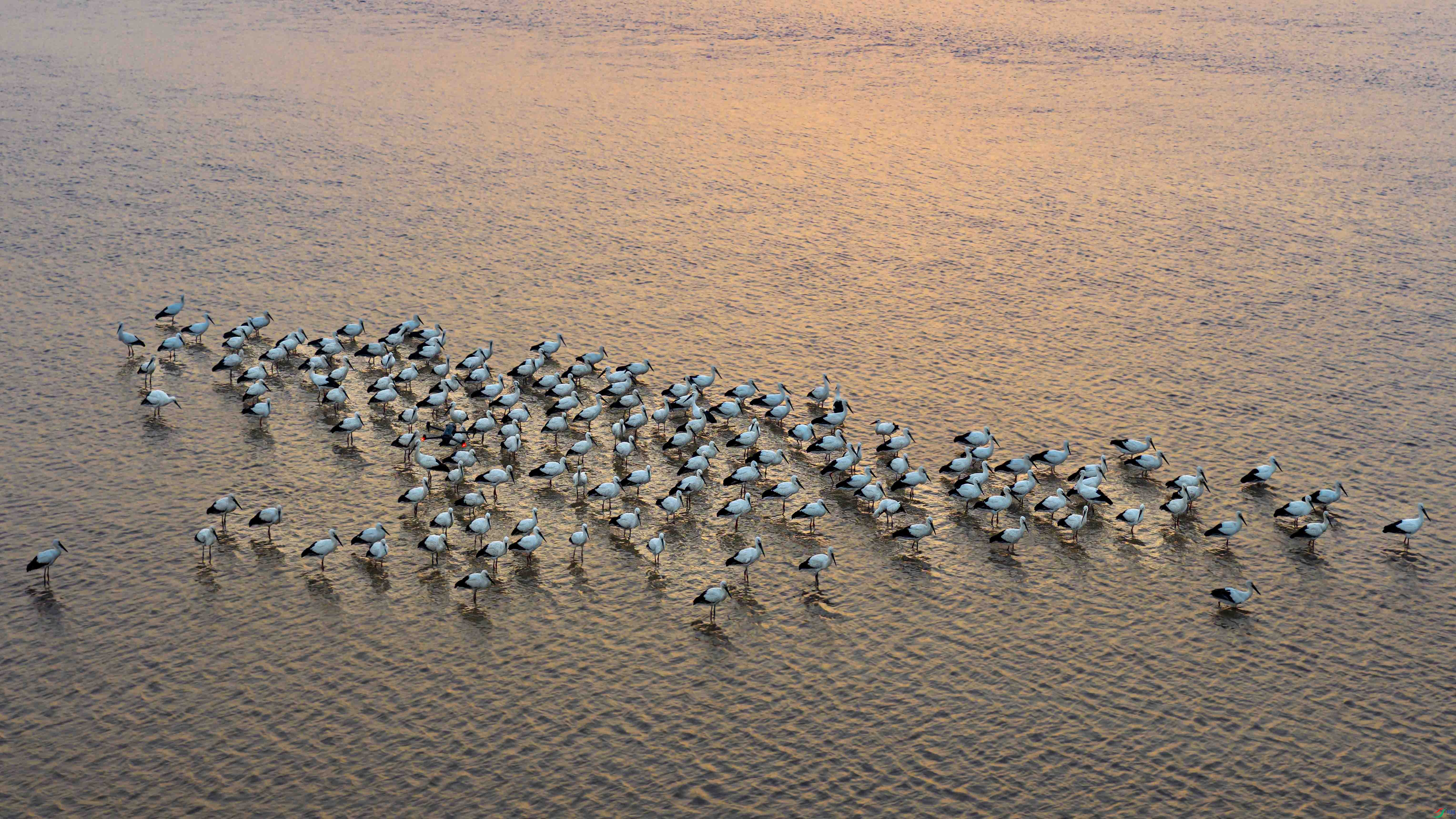 DJI_20251130071317_0149_D ����.jpg