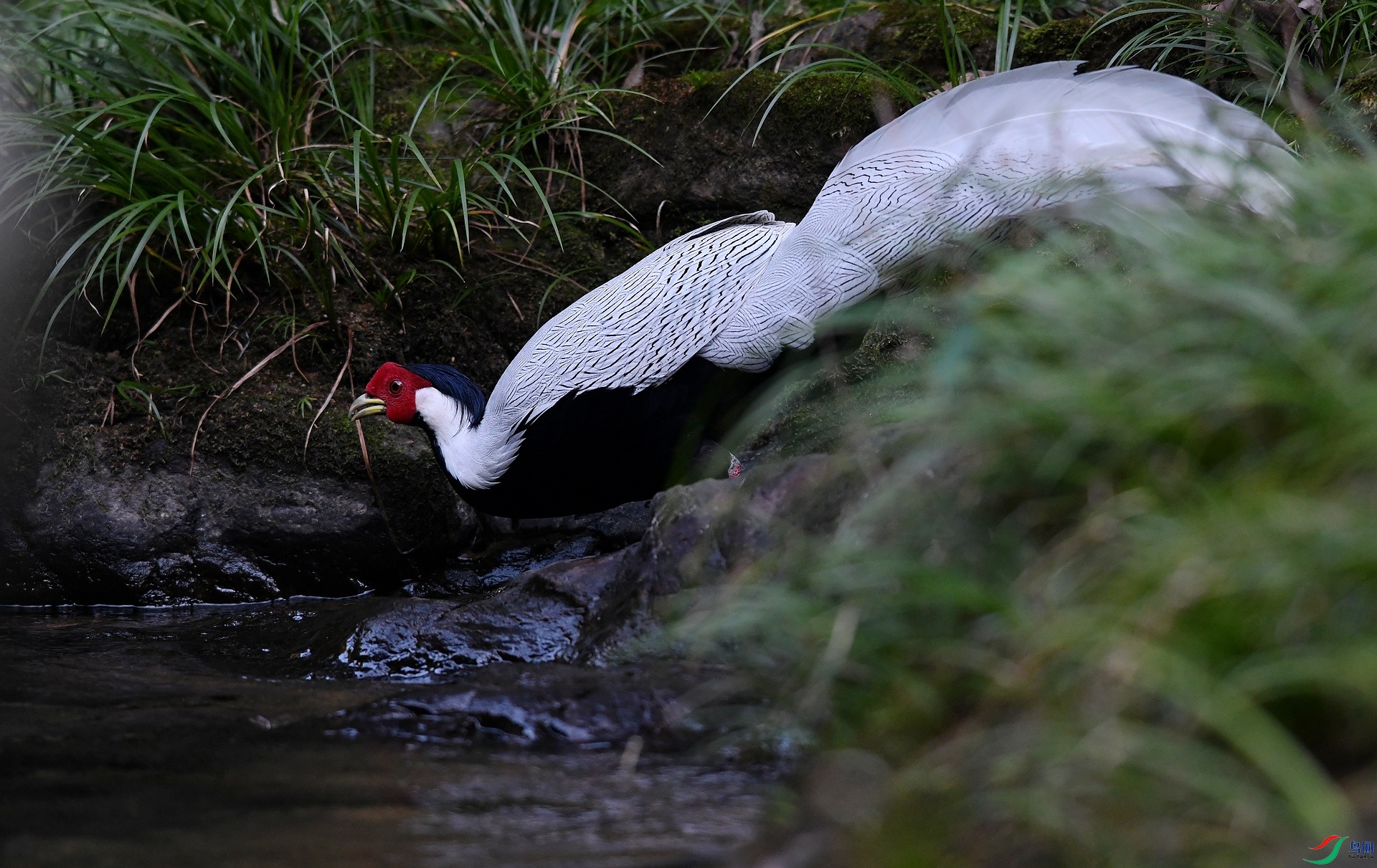 DSC_3809.jpg