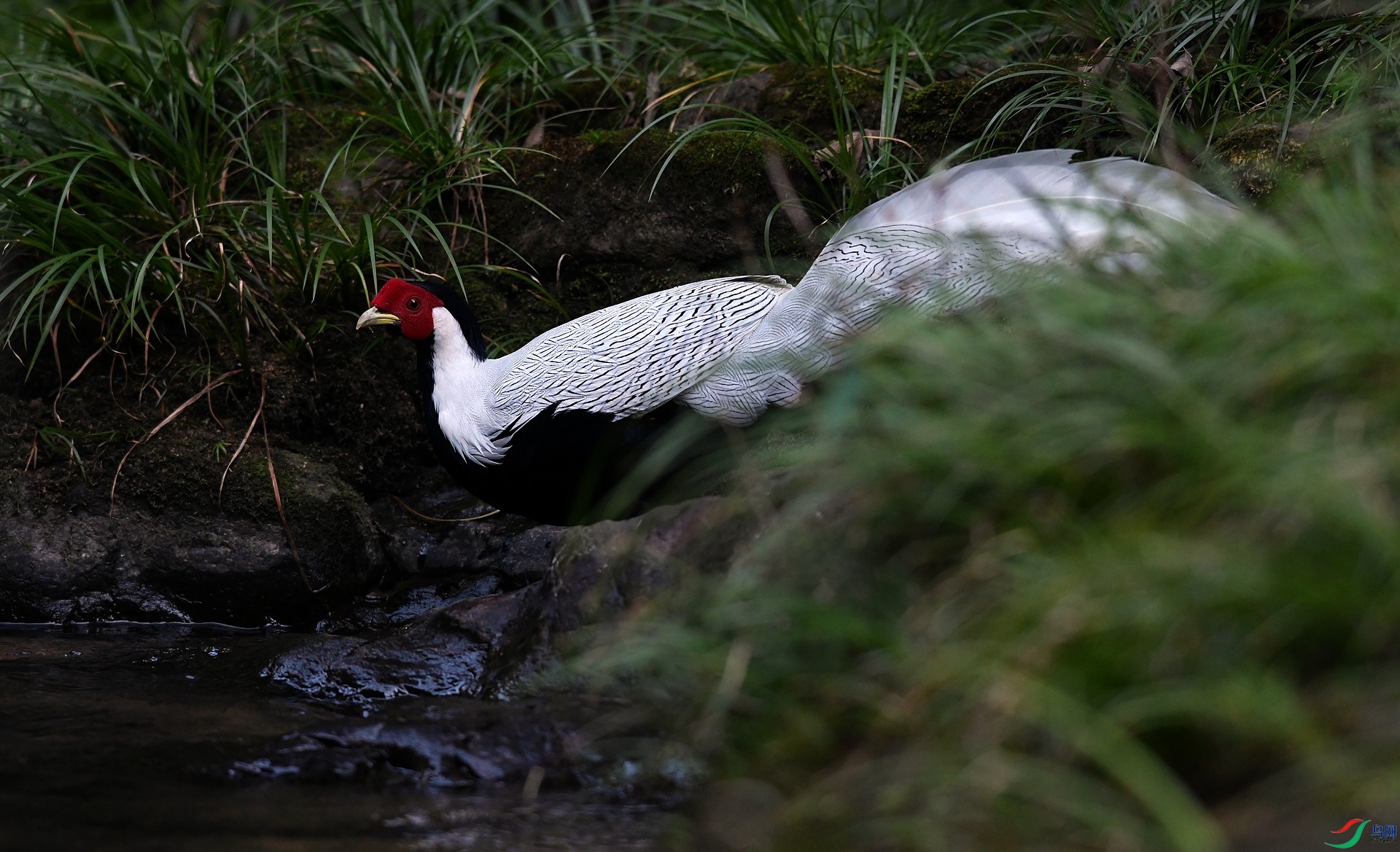 DSC_3807.jpg
