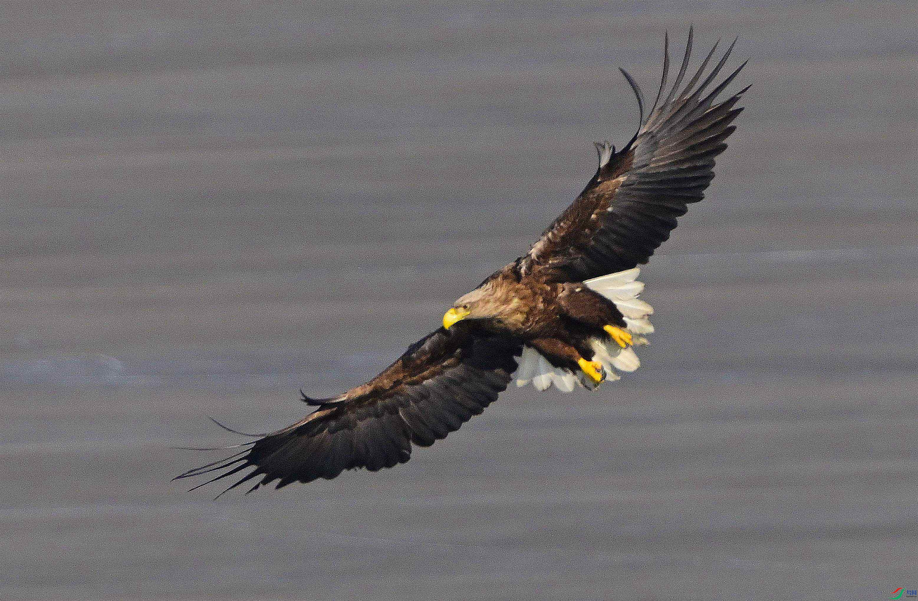 DSC_2787.JPG