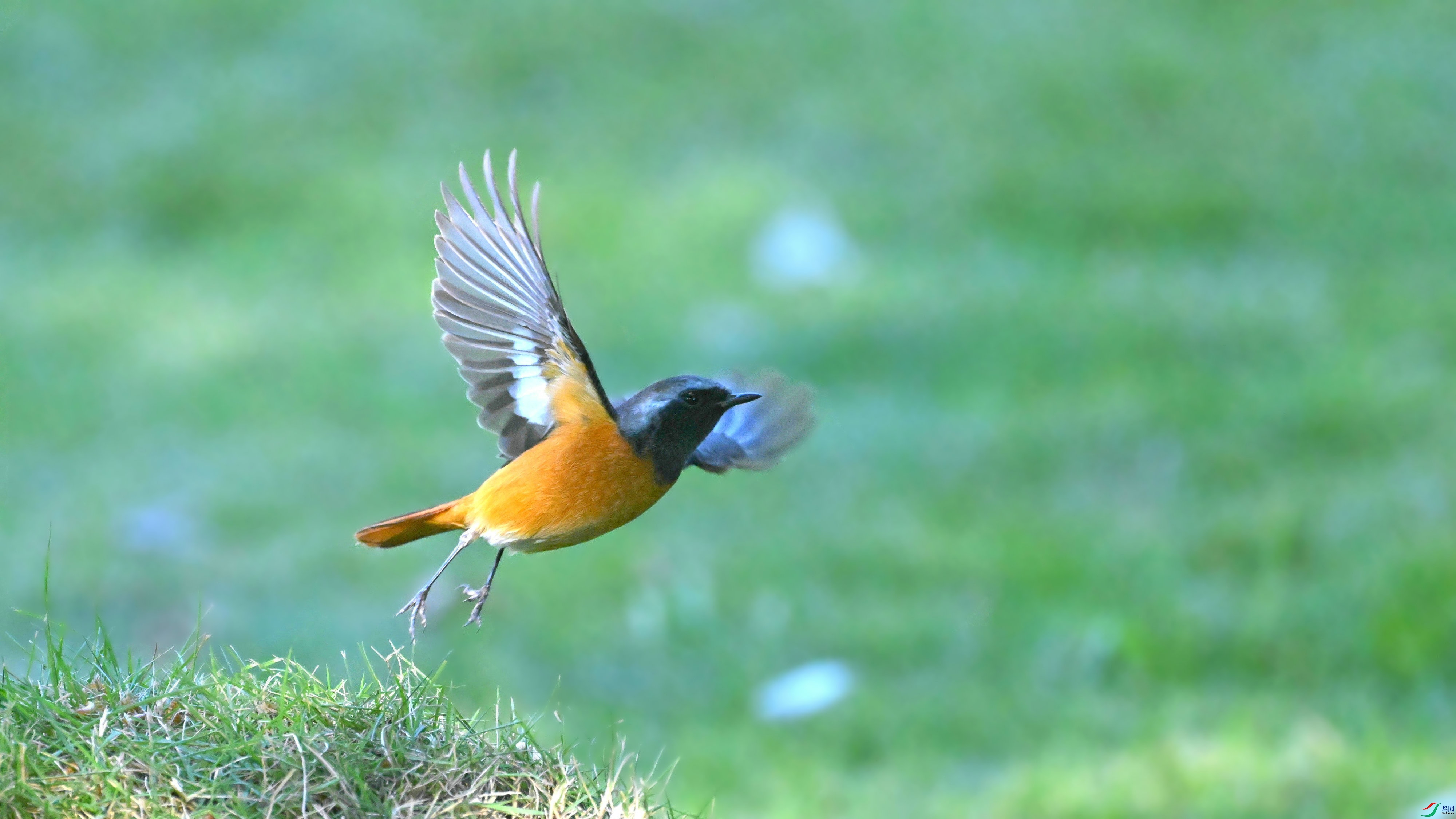 DSC_5734.JPG