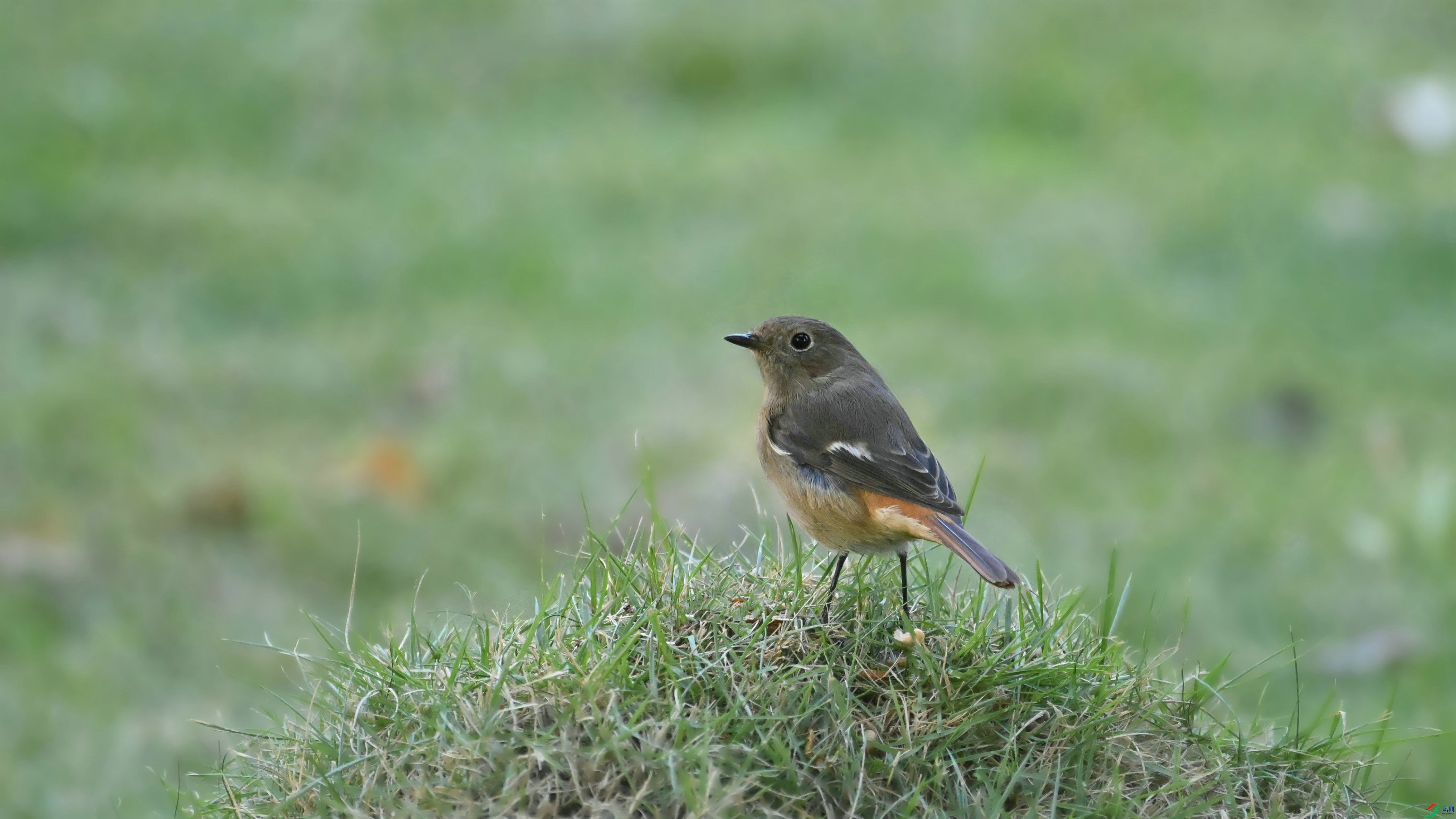DSC_5858.JPG