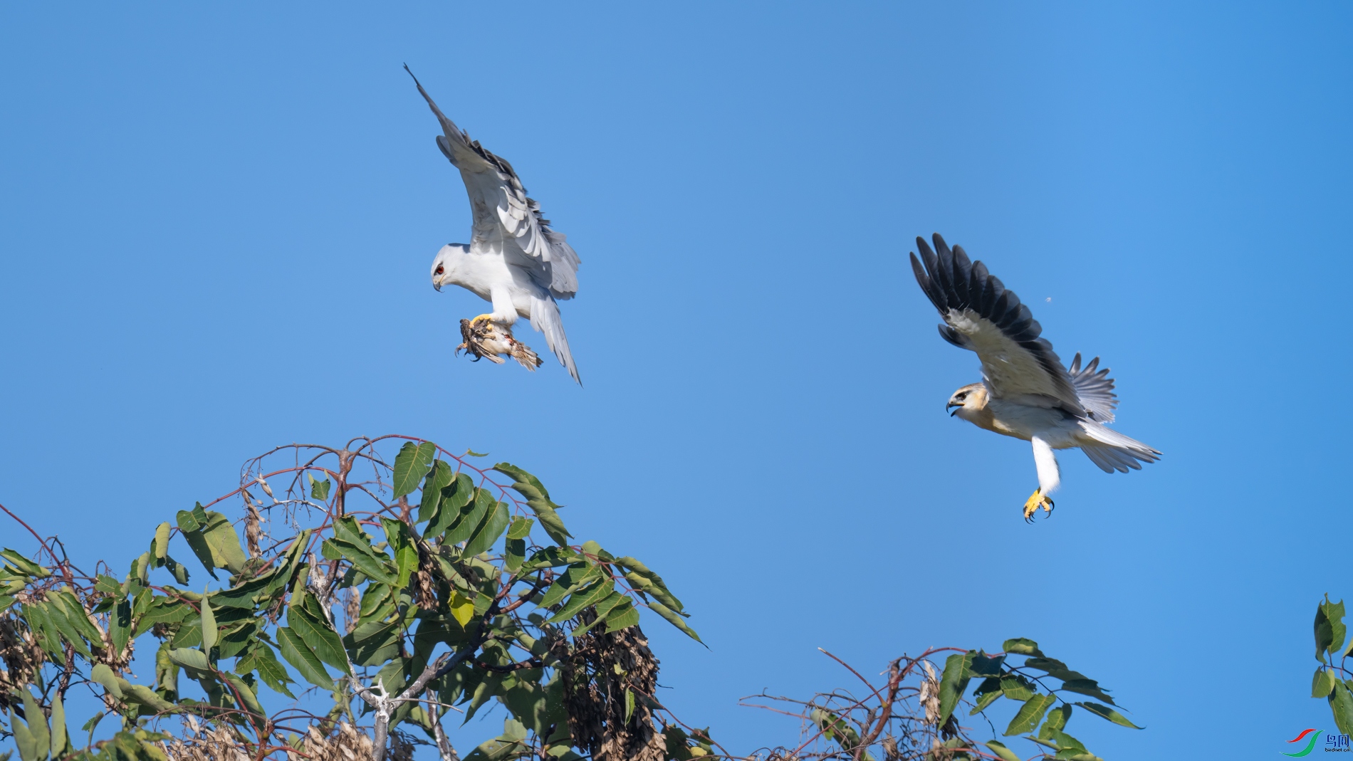 DSC_5149sen2026-10-6-25-�༭.jpg