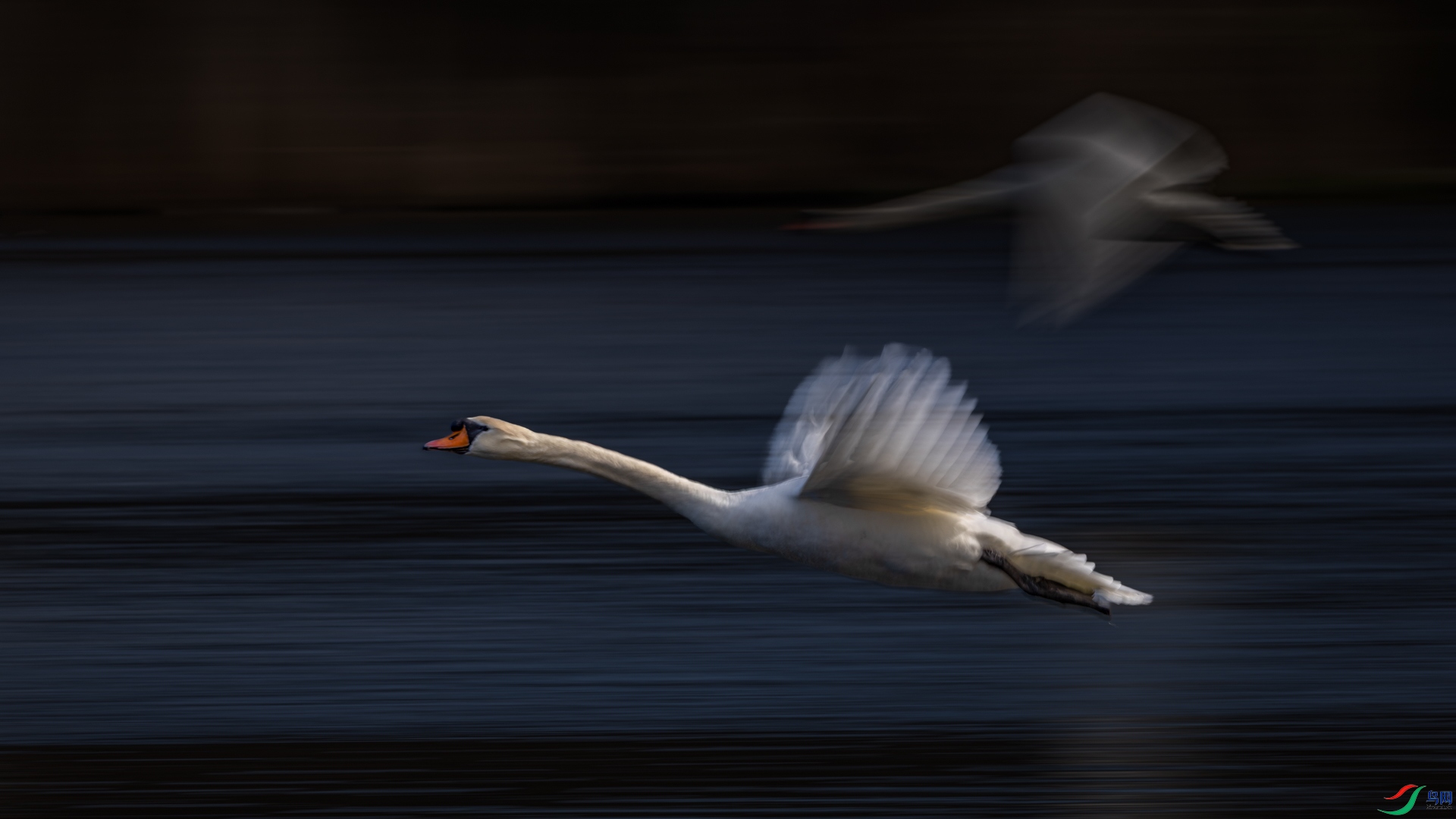 498A9373_1.jpg