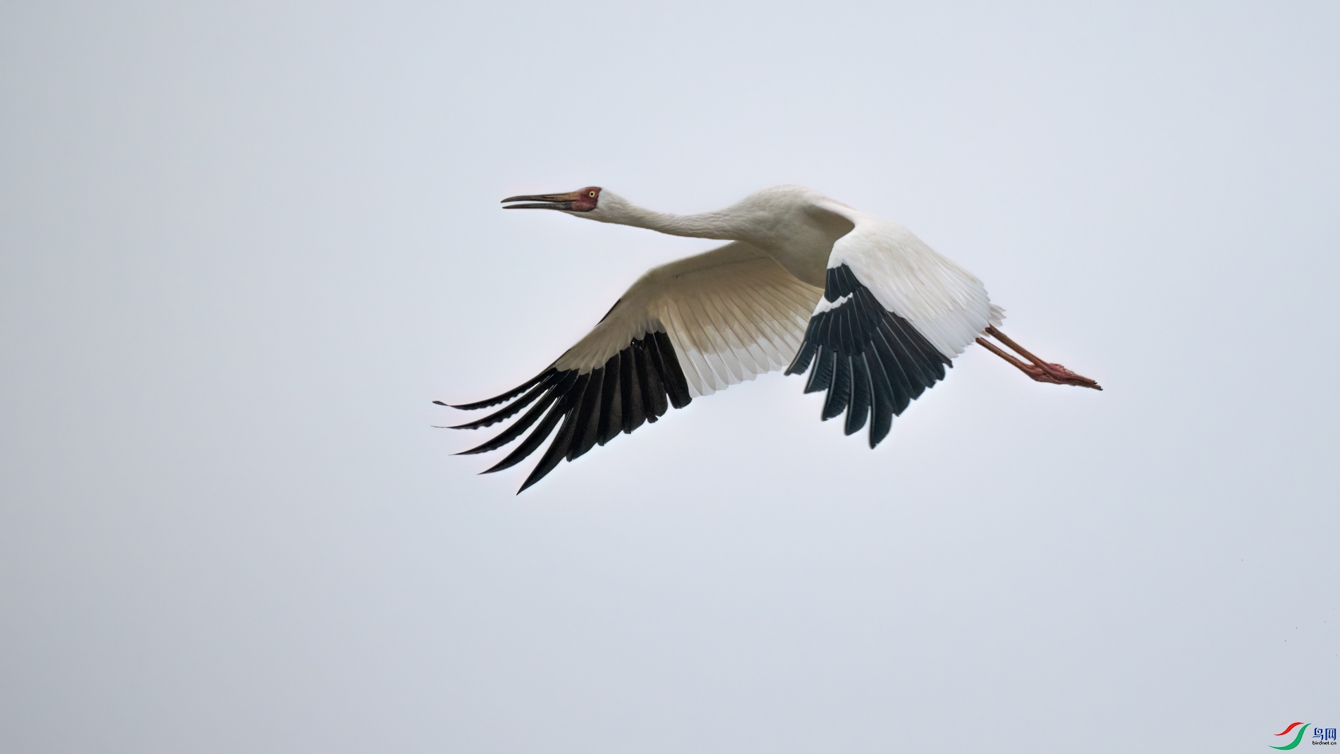DSC_1322sen2026-2-27-134-�༭.jpg