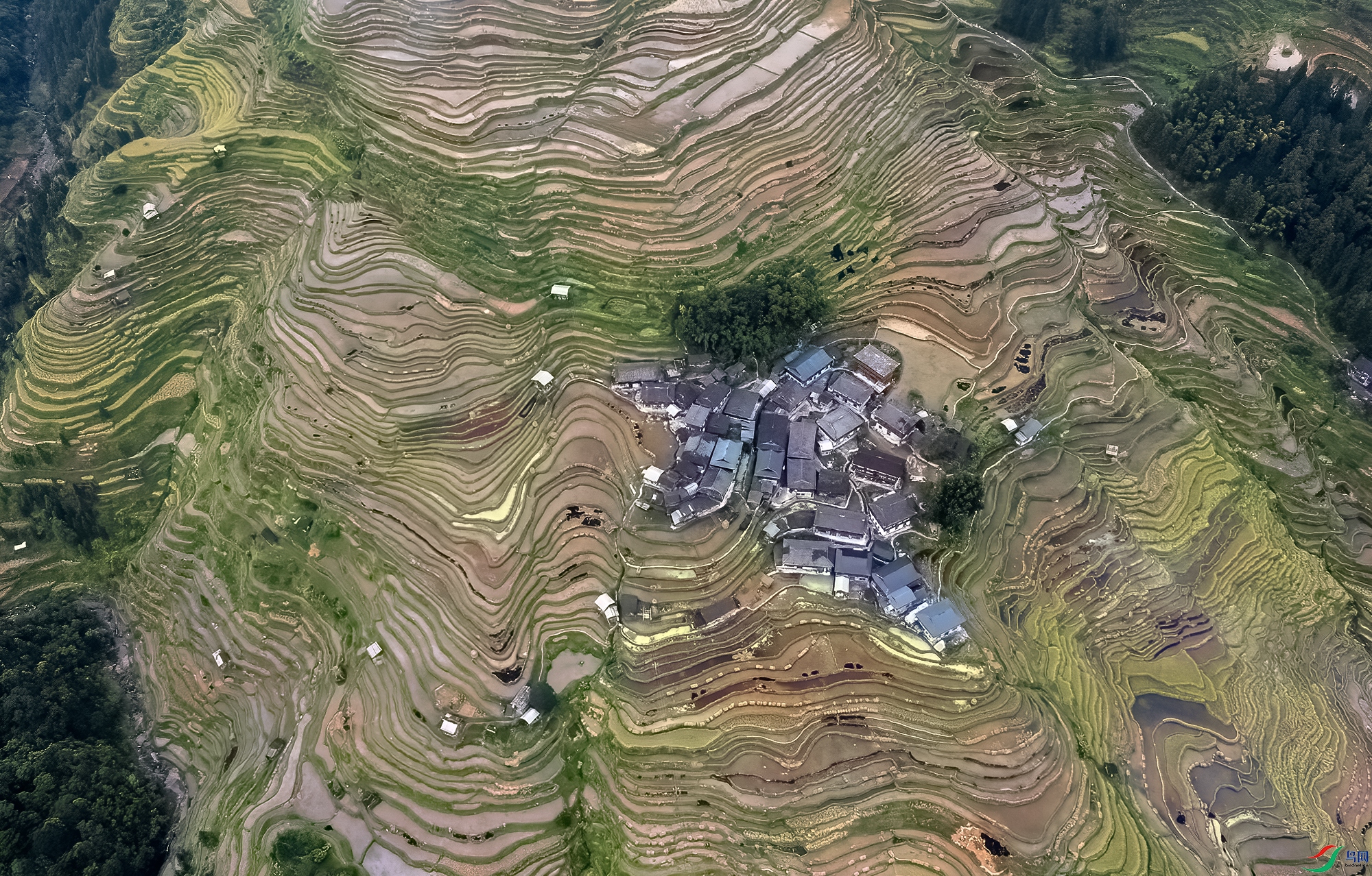 DJI_0676 ����.jpg