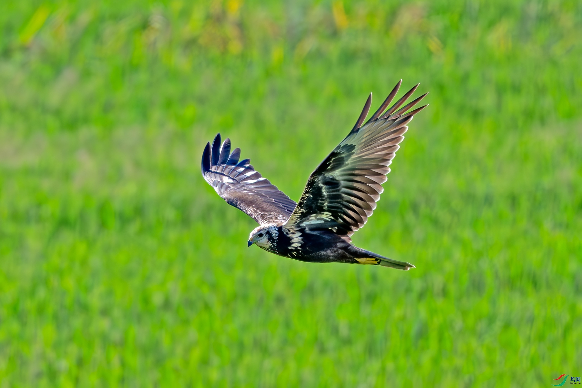 _DSC9673.jpg