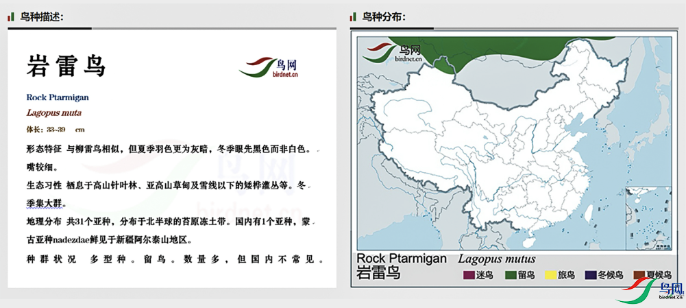 baea53a2086a9120e0a5d31f9425036.png