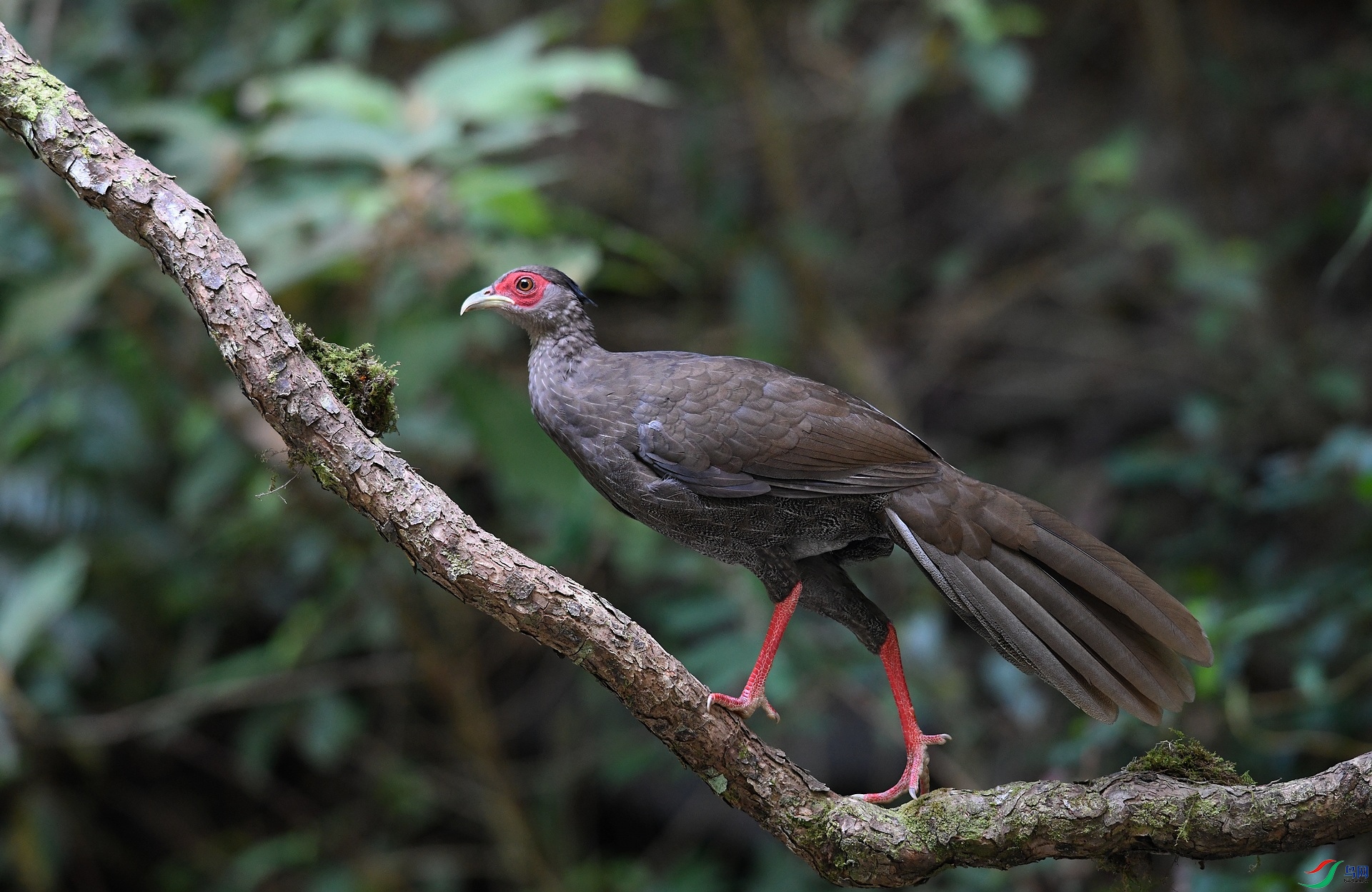 DSC_1564.jpg