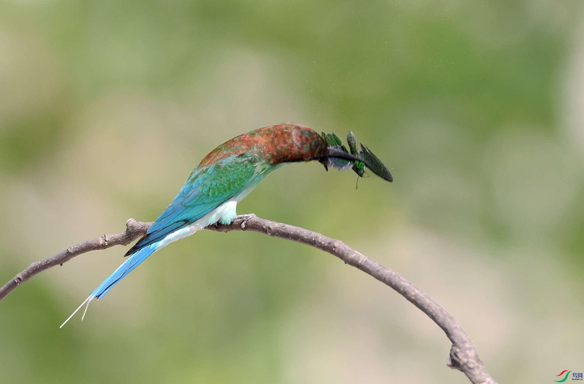 DSC_5243.jpg