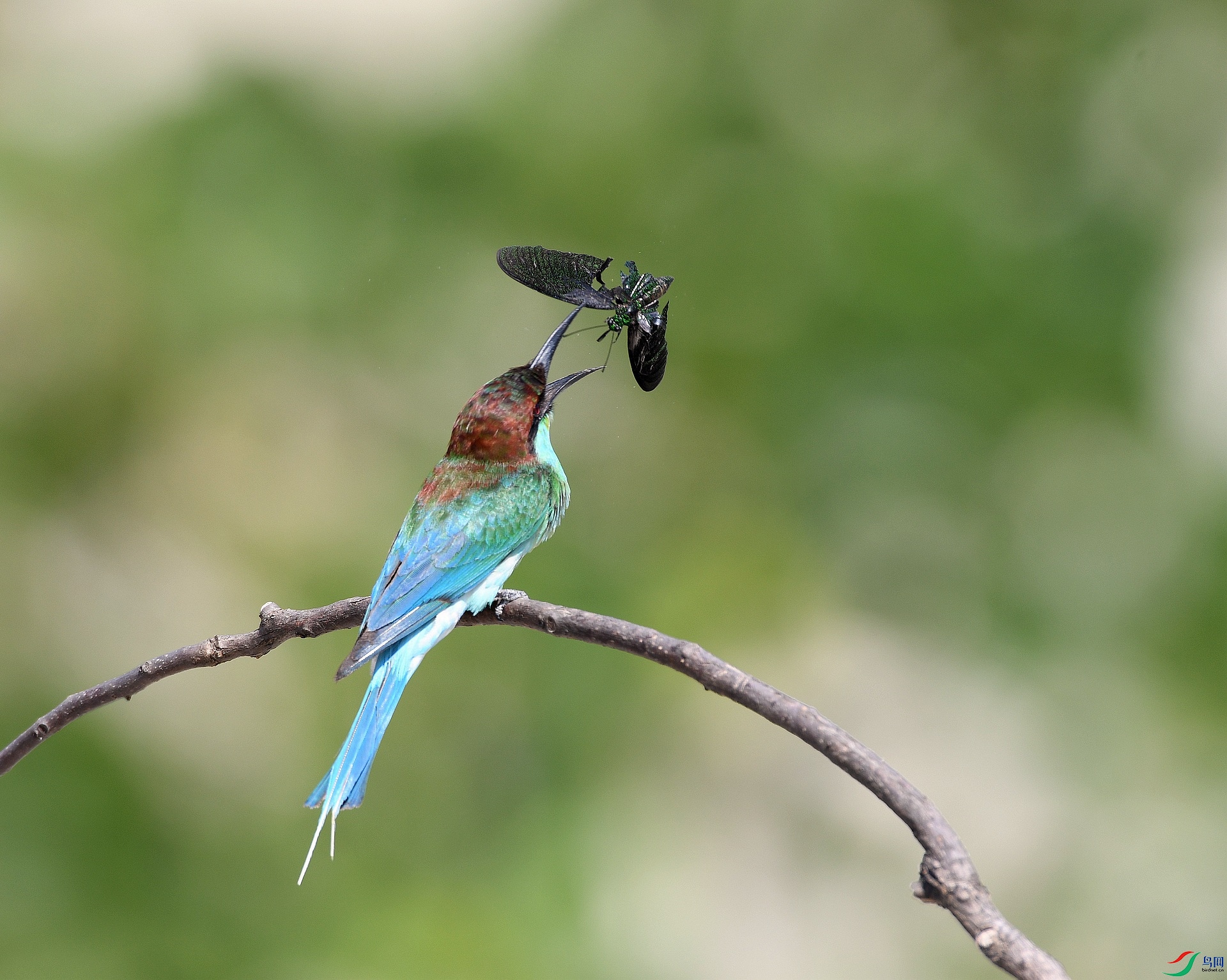 DSC_5334.jpg