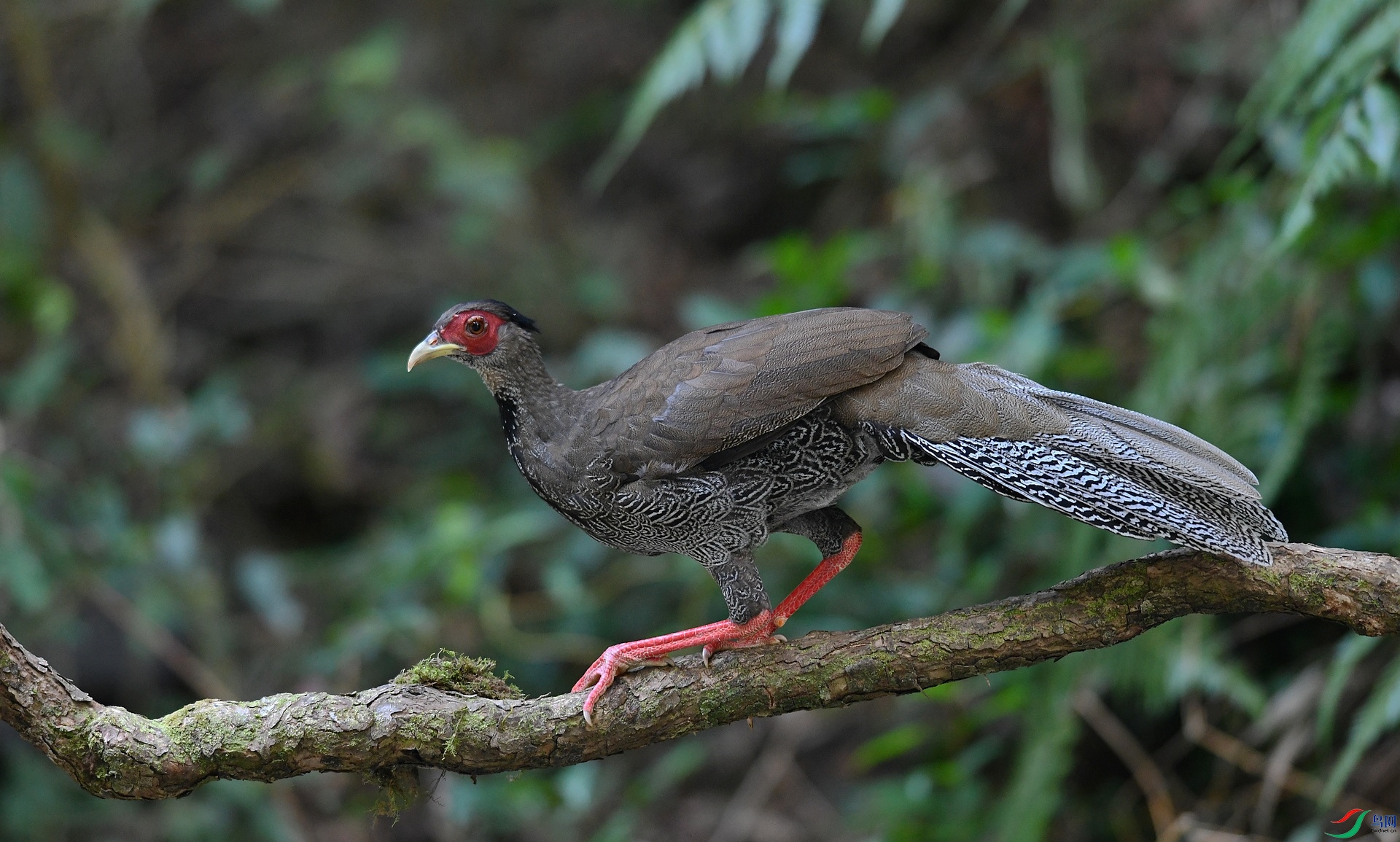 DSC_1537.jpg